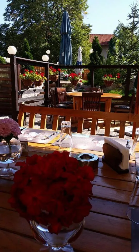 Patio in Vitoshko Lale Hotel