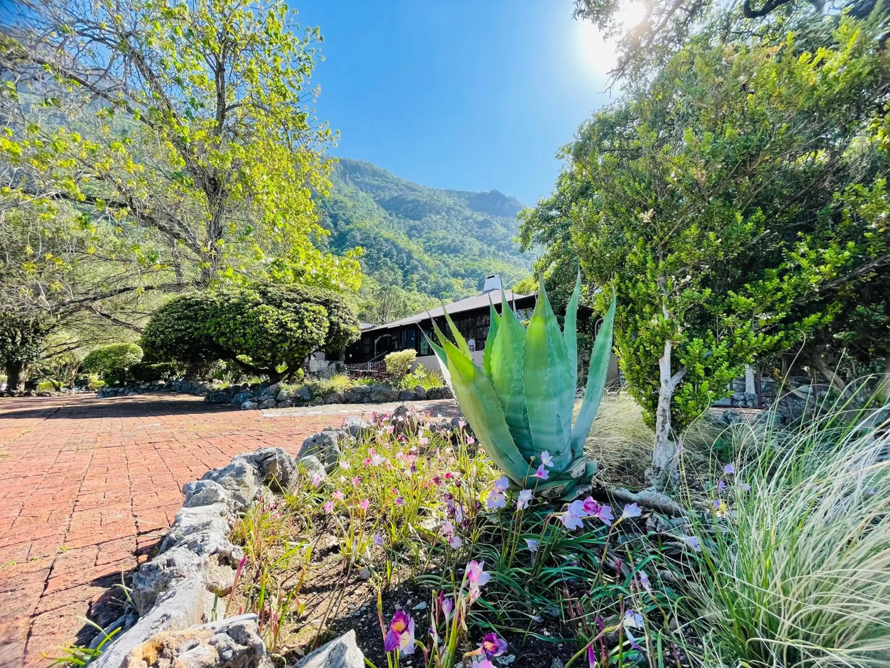 Spring in Hotel Chipinque