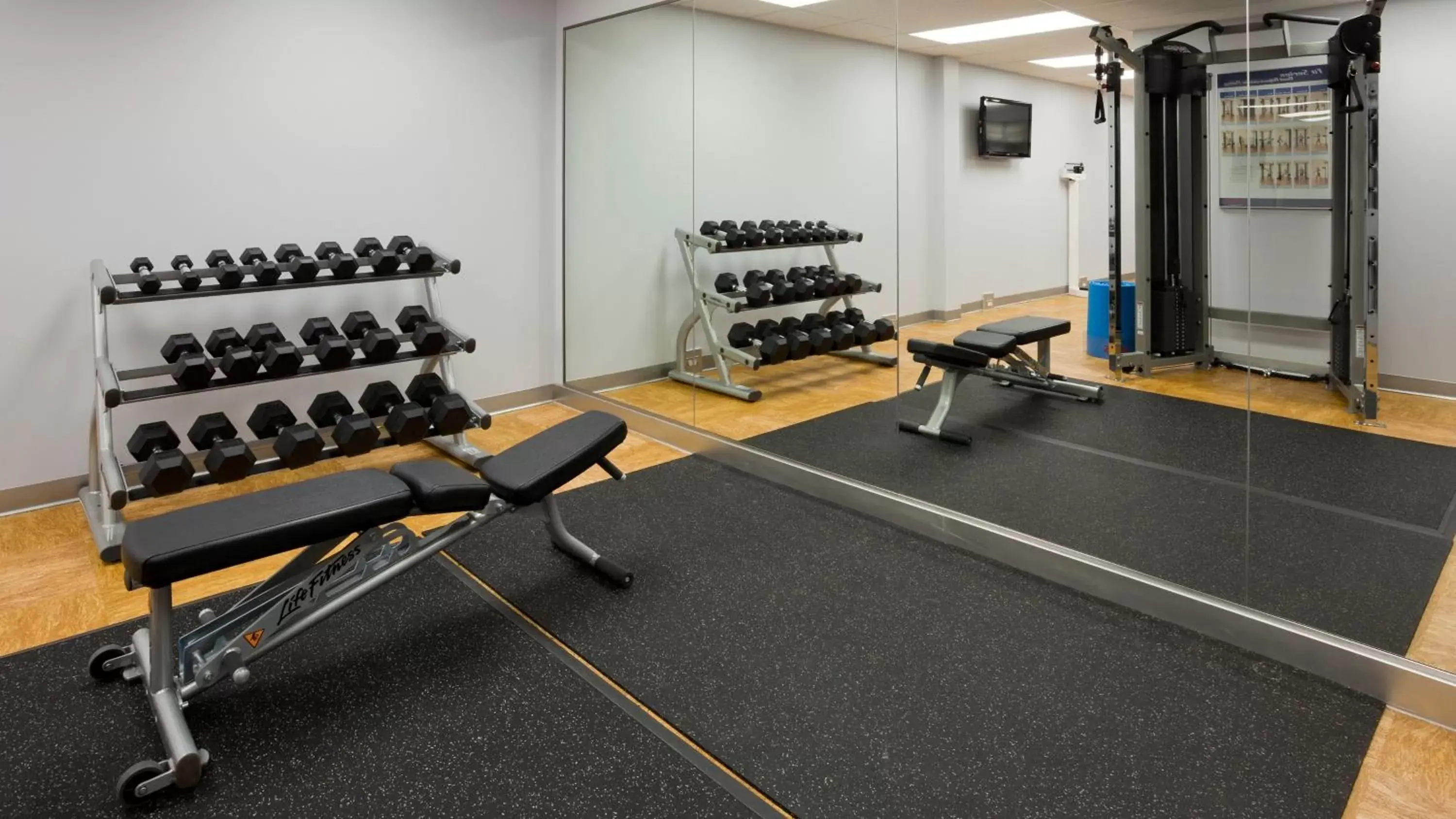 Fitness centre/facilities, Fitness Center/Facilities in Holiday Inn Winnipeg - Airport West, an IHG Hotel