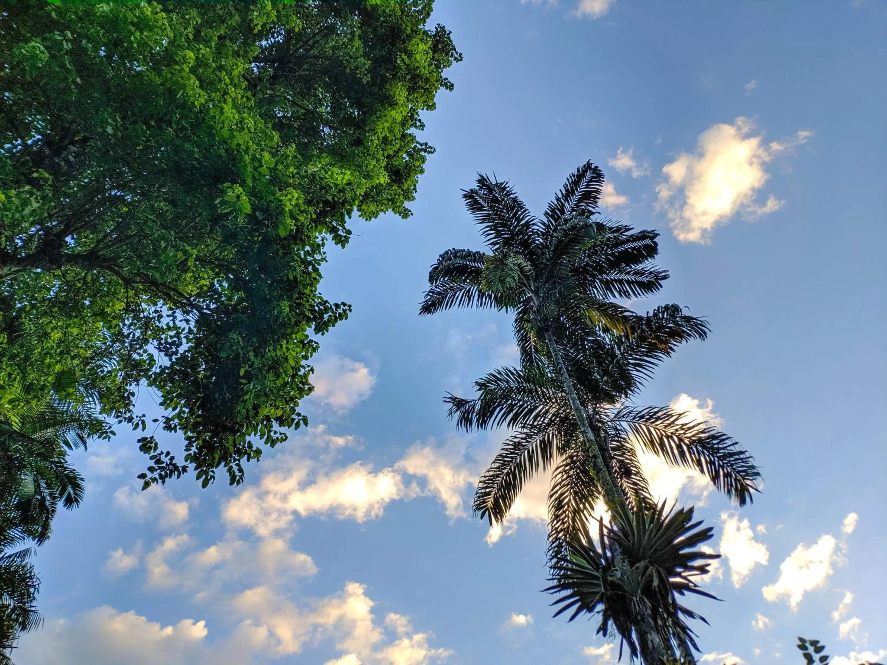 Natural landscape in Pousada Canto do Curió Paraty