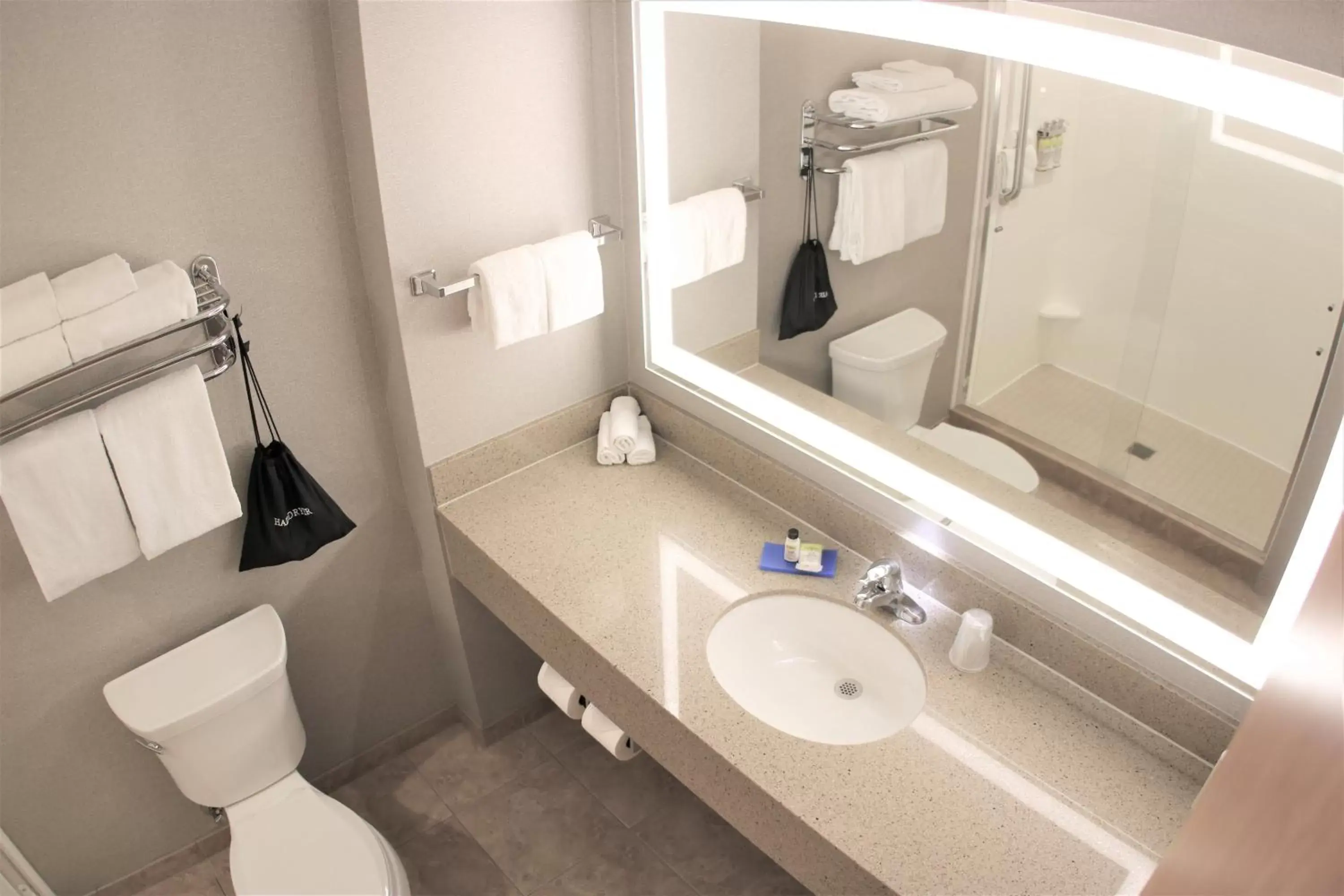 Photo of the whole room, Bathroom in Holiday Inn Express & Suites Cheney, an IHG Hotel