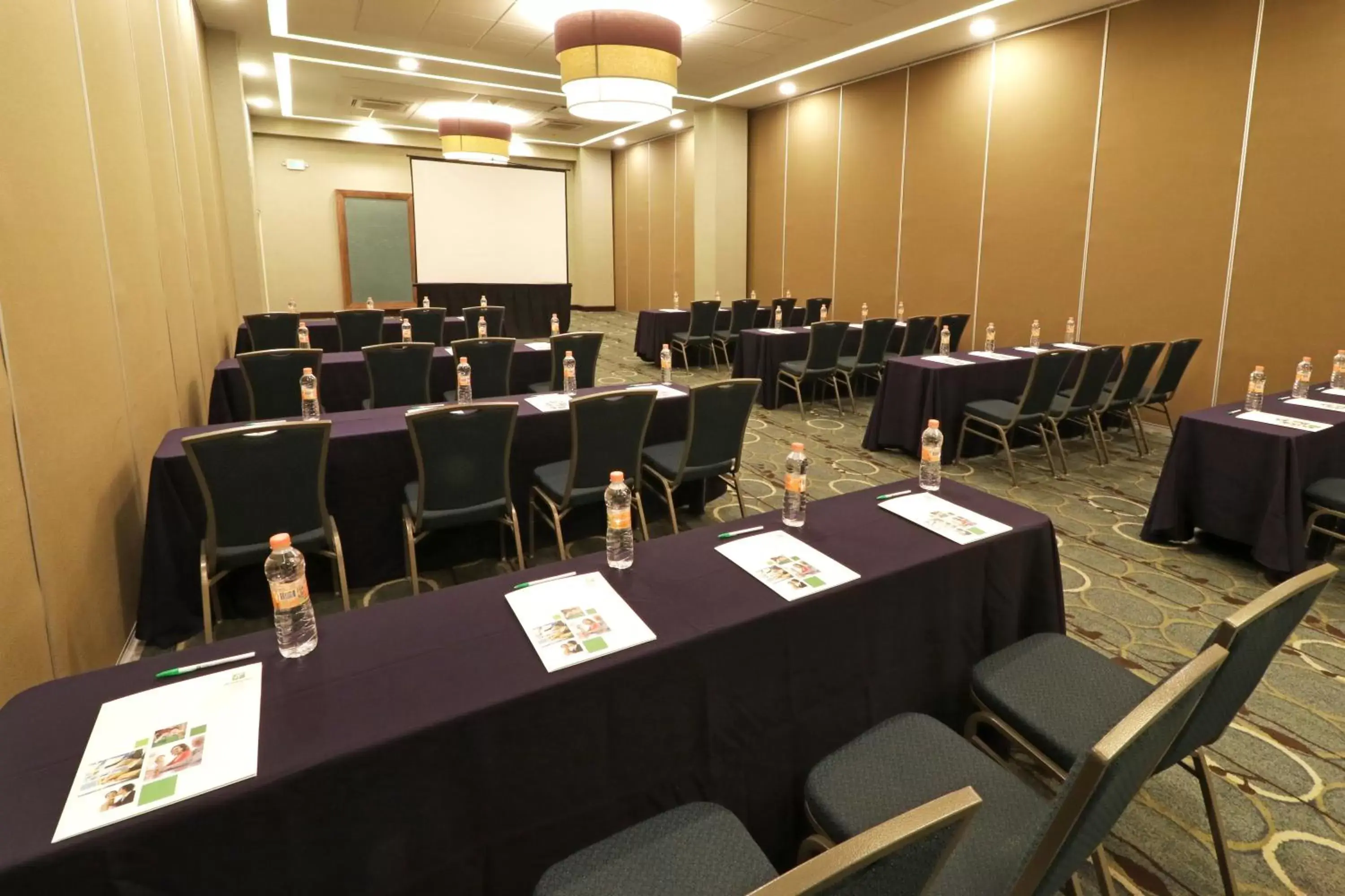 Meeting/conference room in Holiday Inn Hotel & Suites Hermosillo Aeropuerto, an IHG Hotel