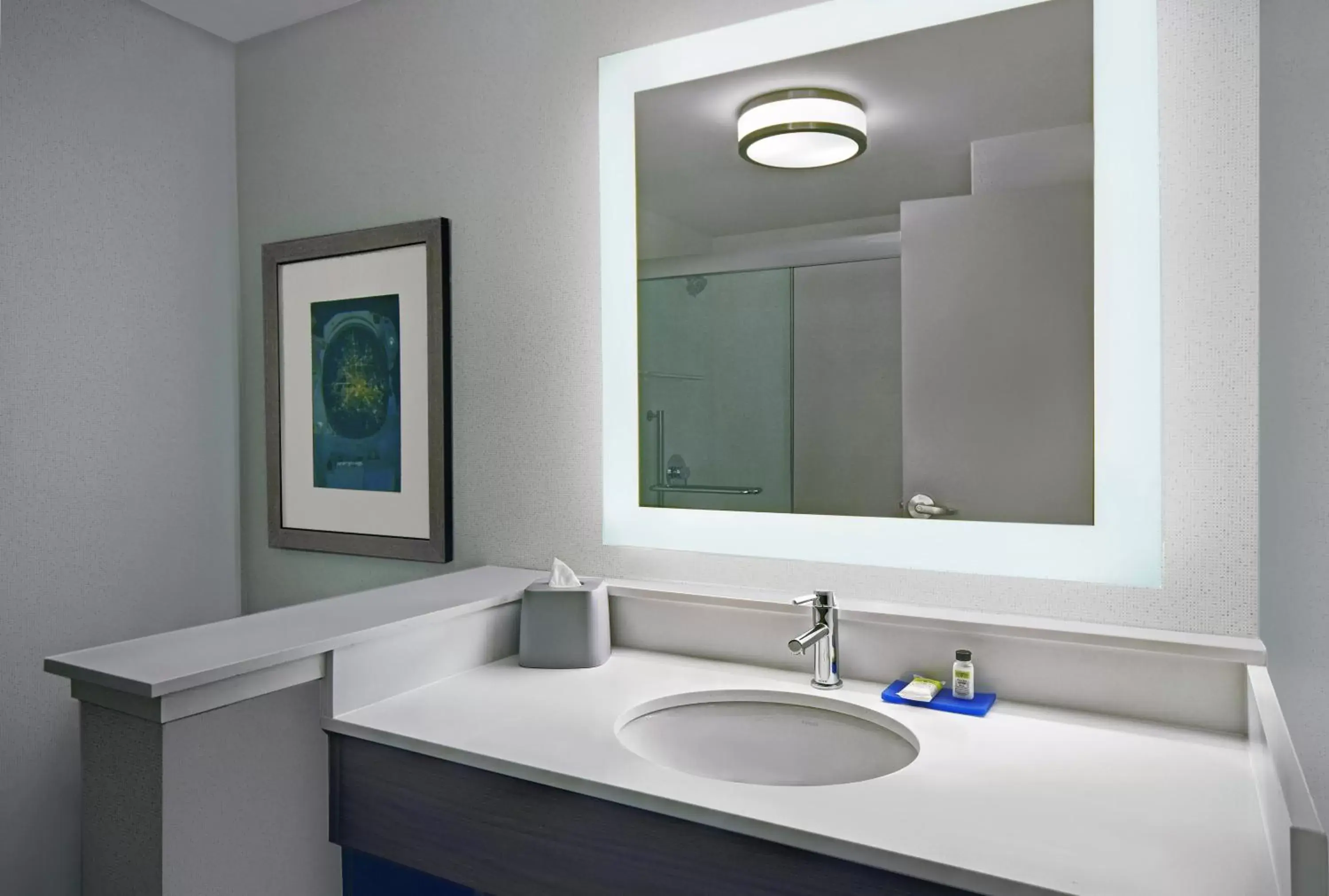 Bathroom in Holiday Inn Express - Houston - Galleria Area, an IHG Hotel