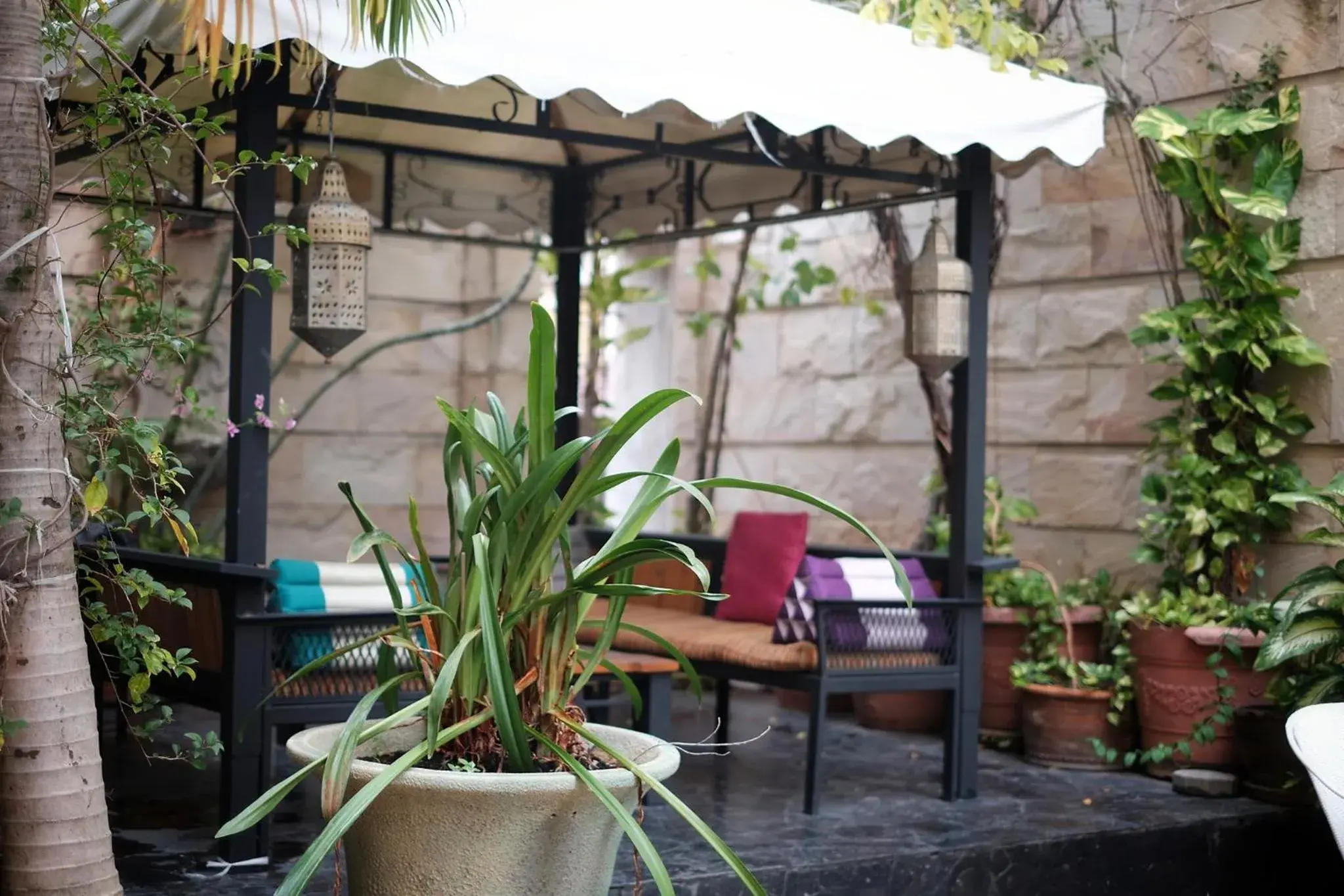 Seating area in Four Seasons Place Hotel