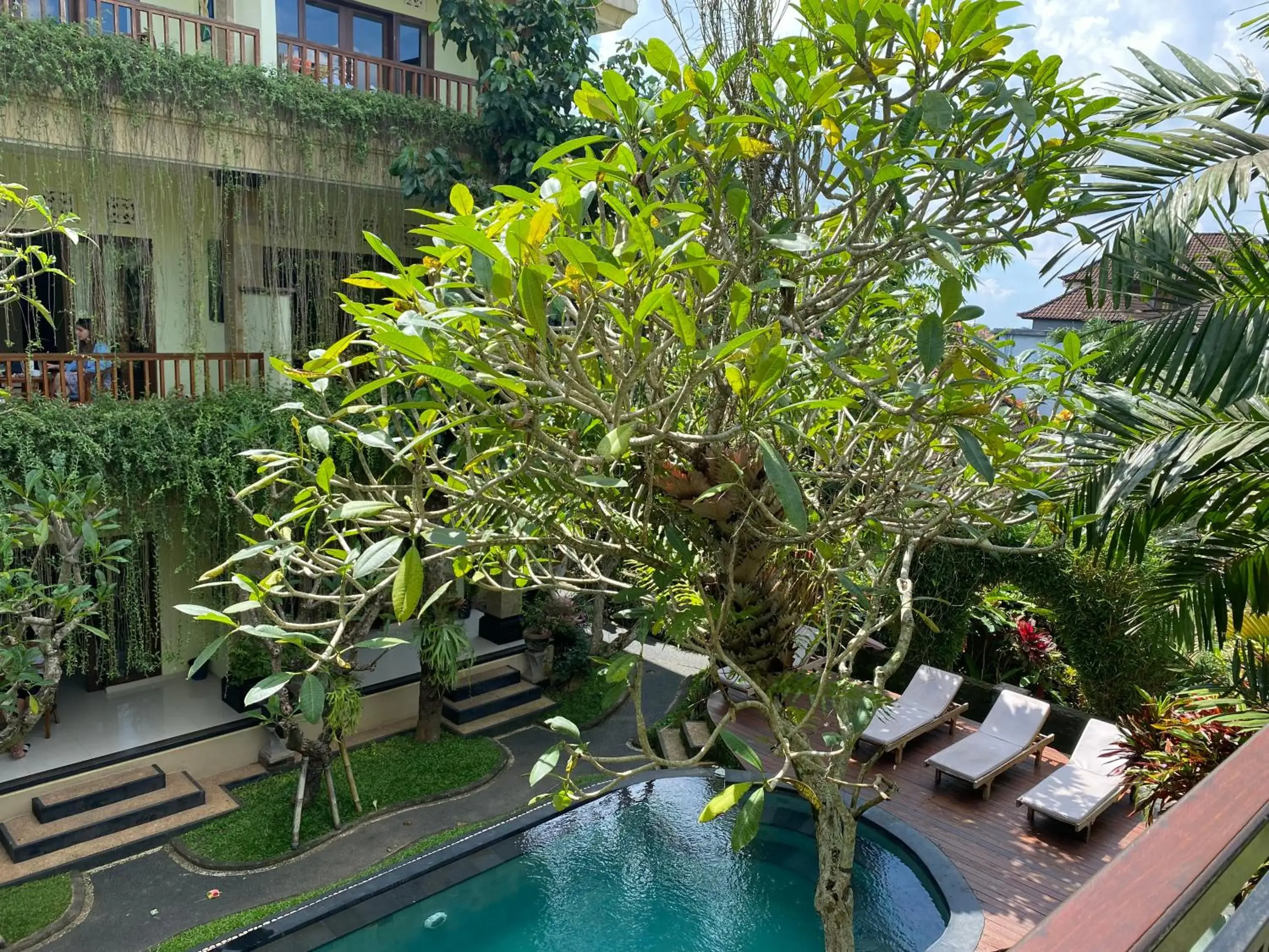 Day, Swimming Pool in Padma Ubud Retreat