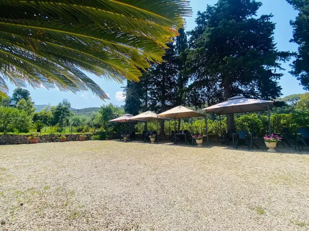 Garden in Villa Gaia