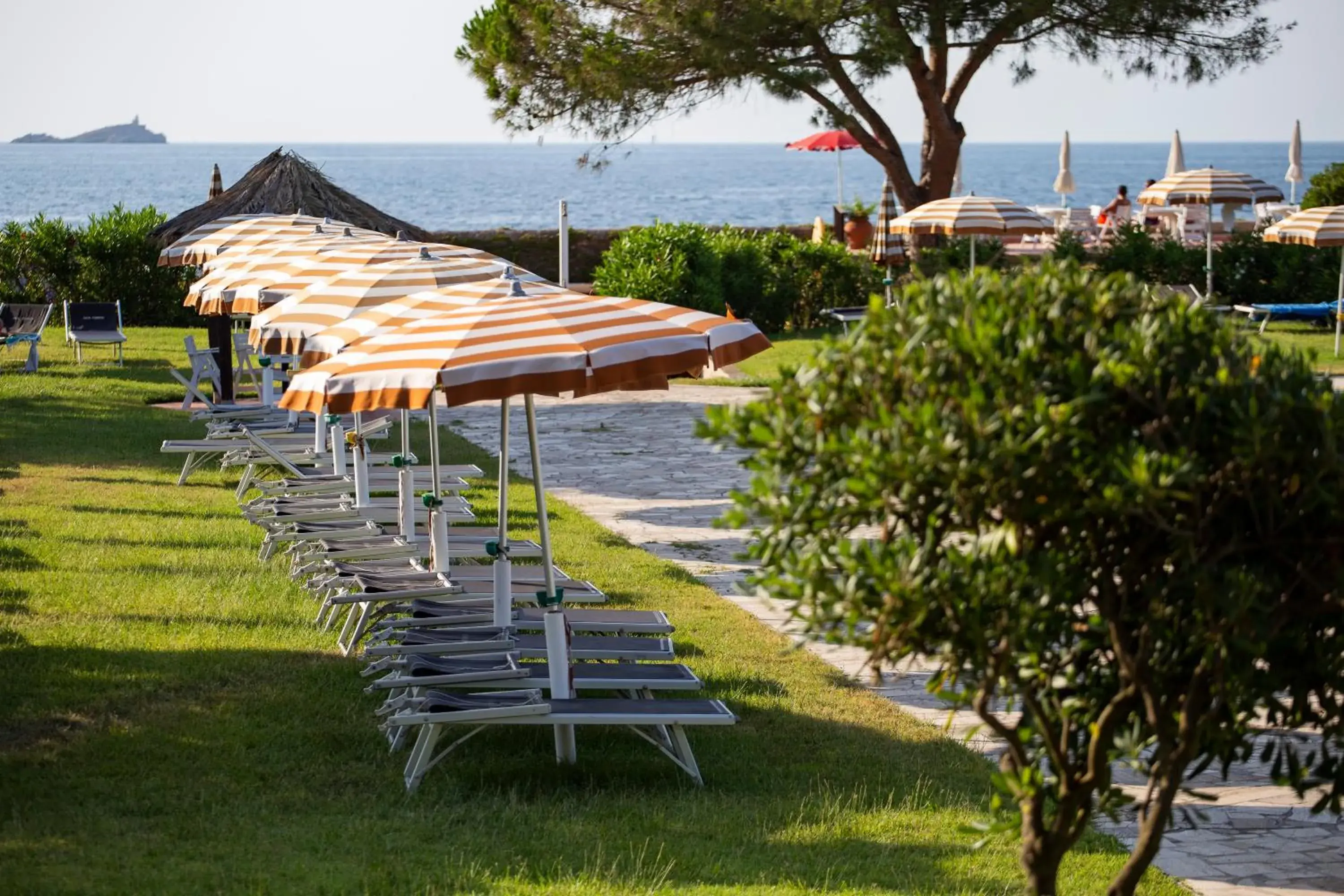 Garden in Hotel Fabricia