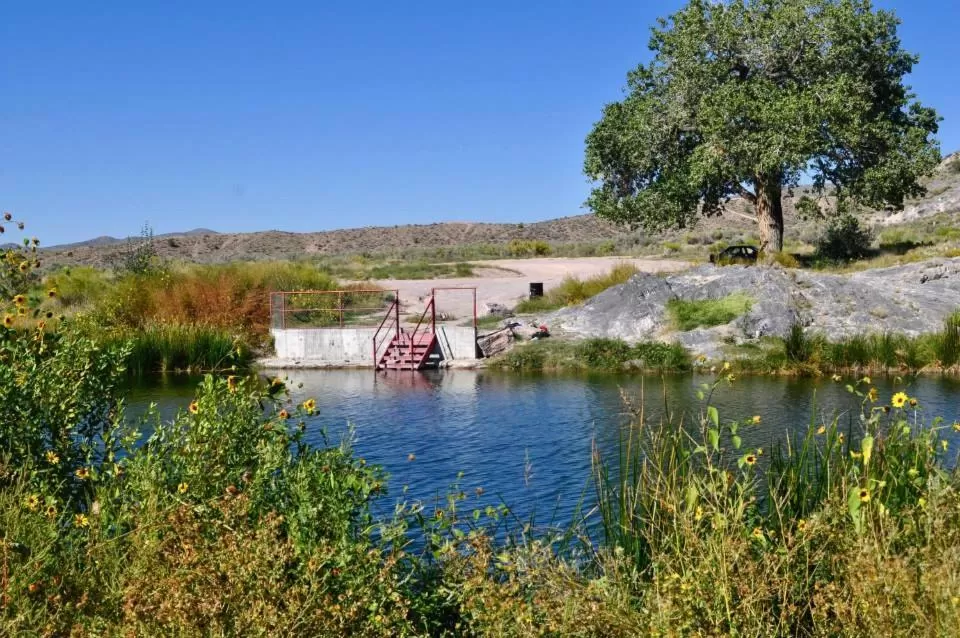 Other in Shady Motel