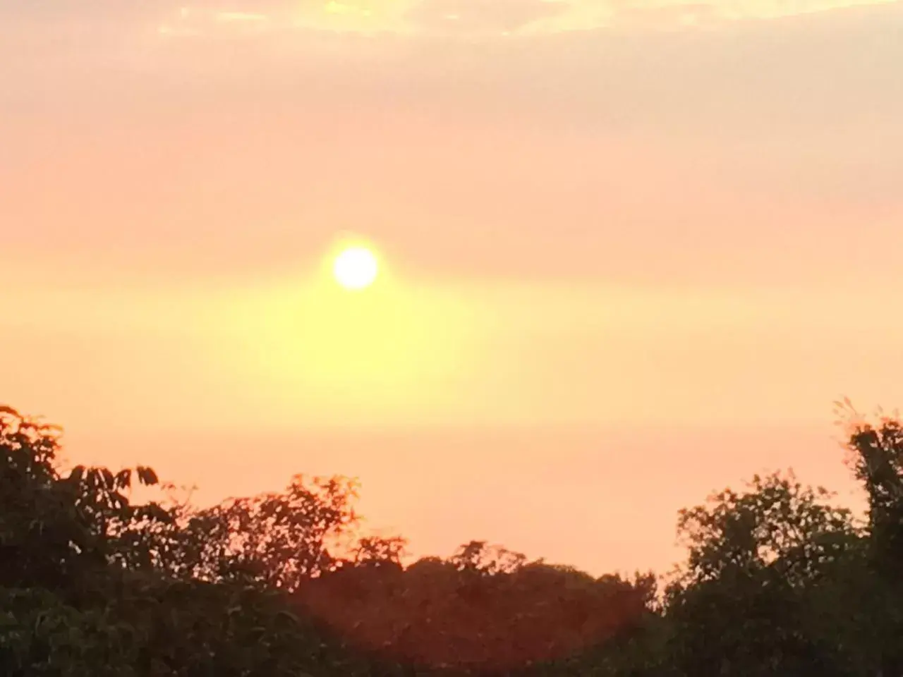 Natural landscape, Sunrise/Sunset in Coffee Garden