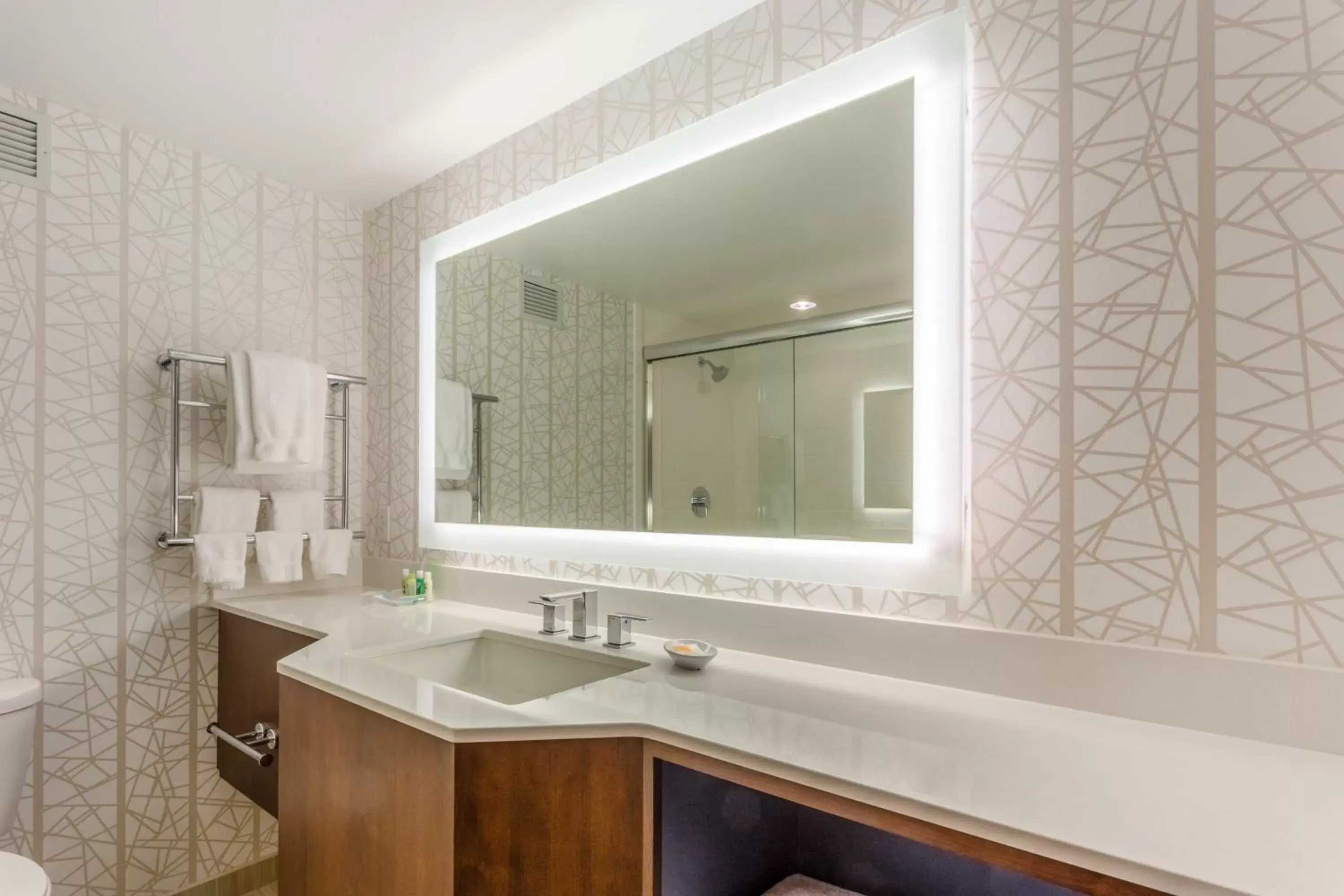 Bathroom in Holiday Inn Missoula Downtown, an IHG Hotel