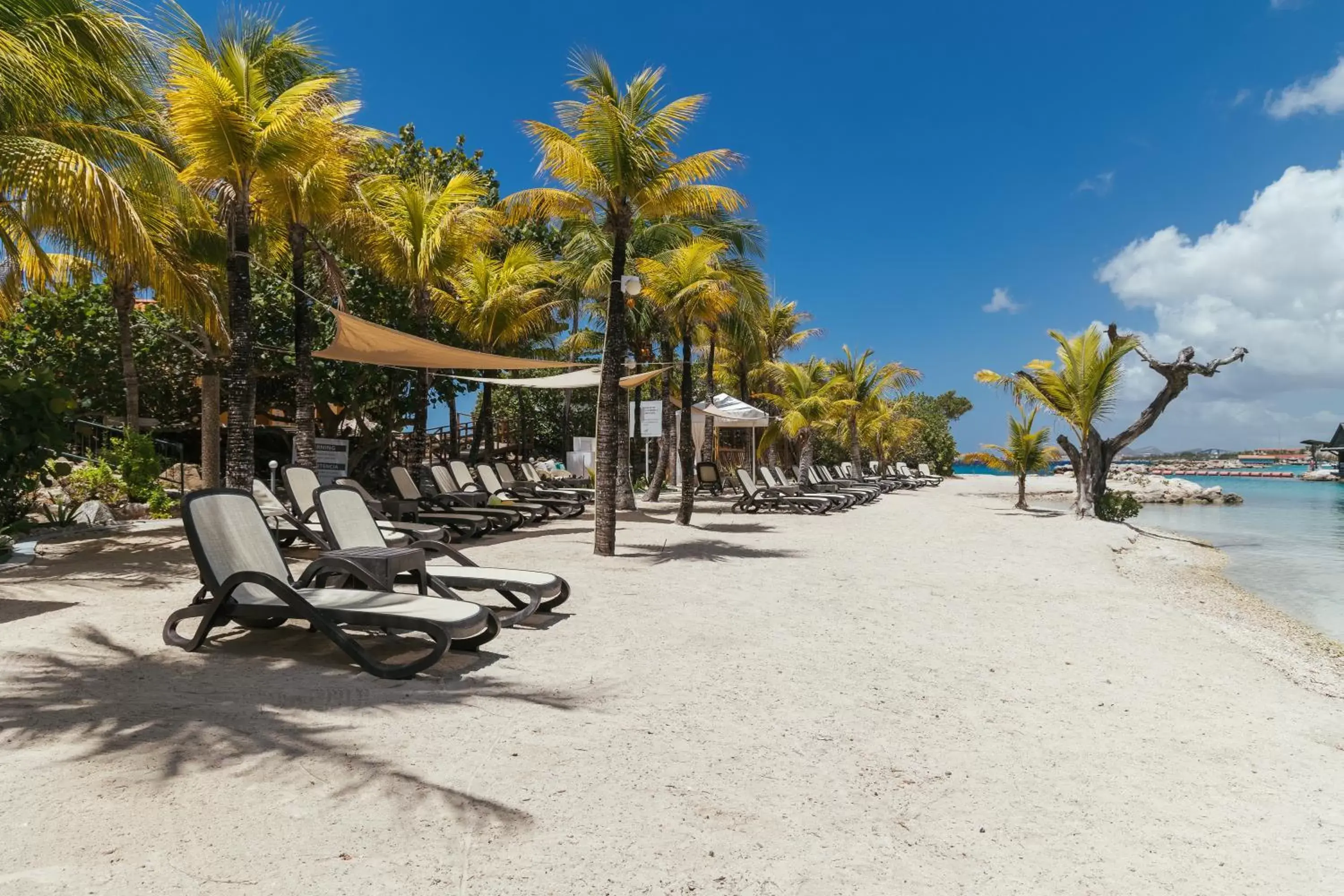 Beach in The Royal Sea Aquarium Resort