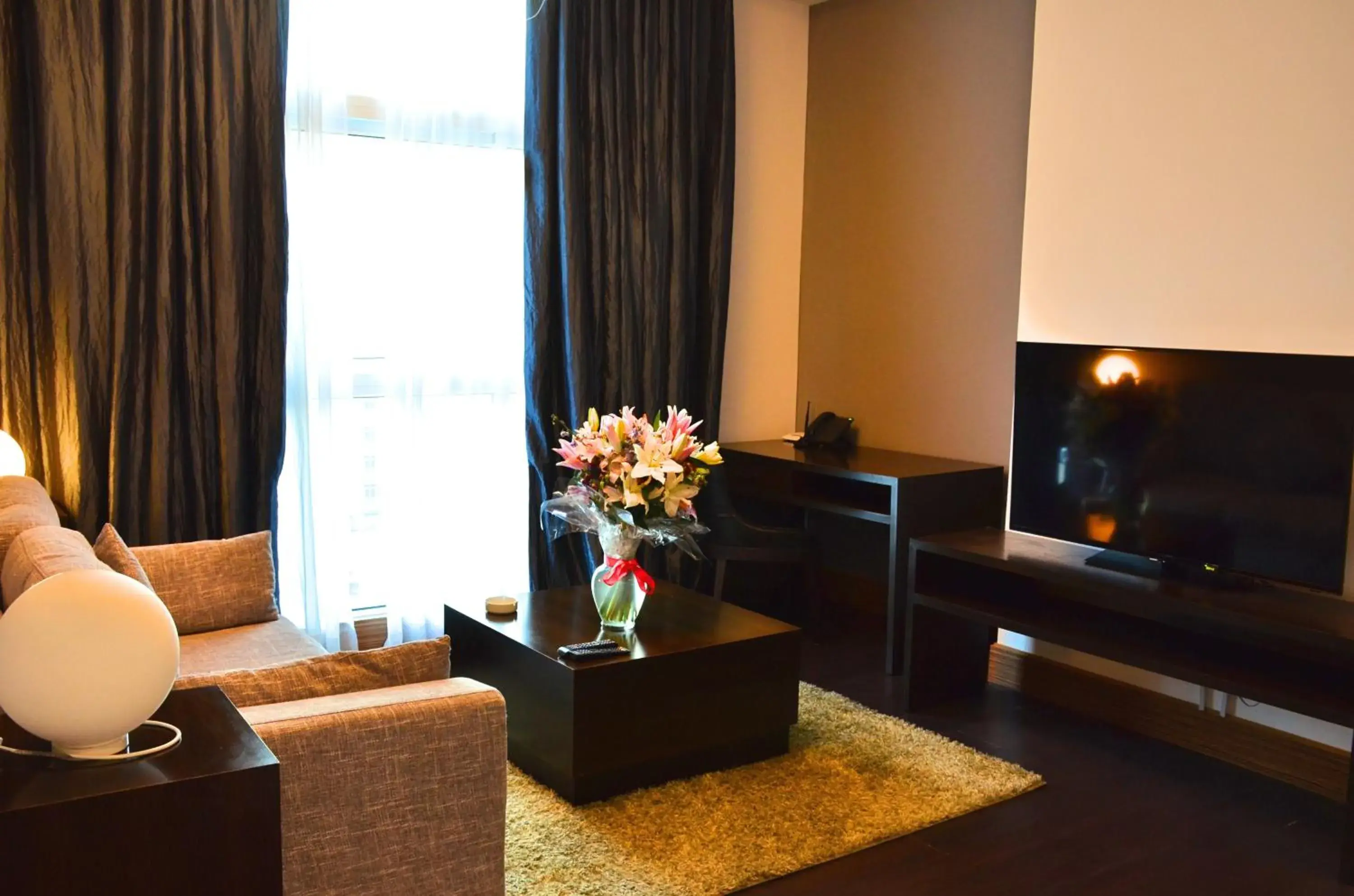 Living room, TV/Entertainment Center in Blaire Executive Suites