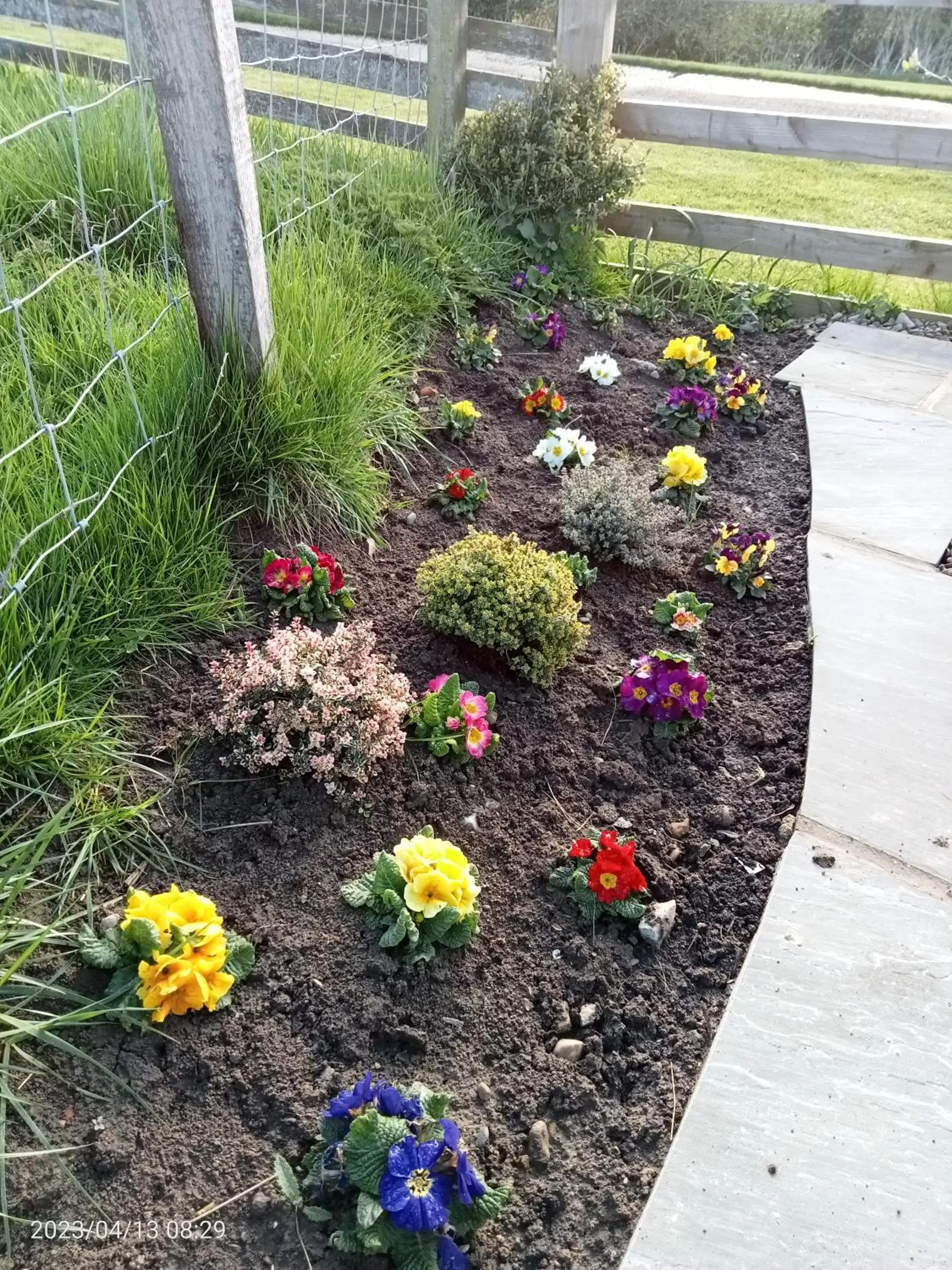 Spring, Garden in Rosegarth Bed and Breakfast