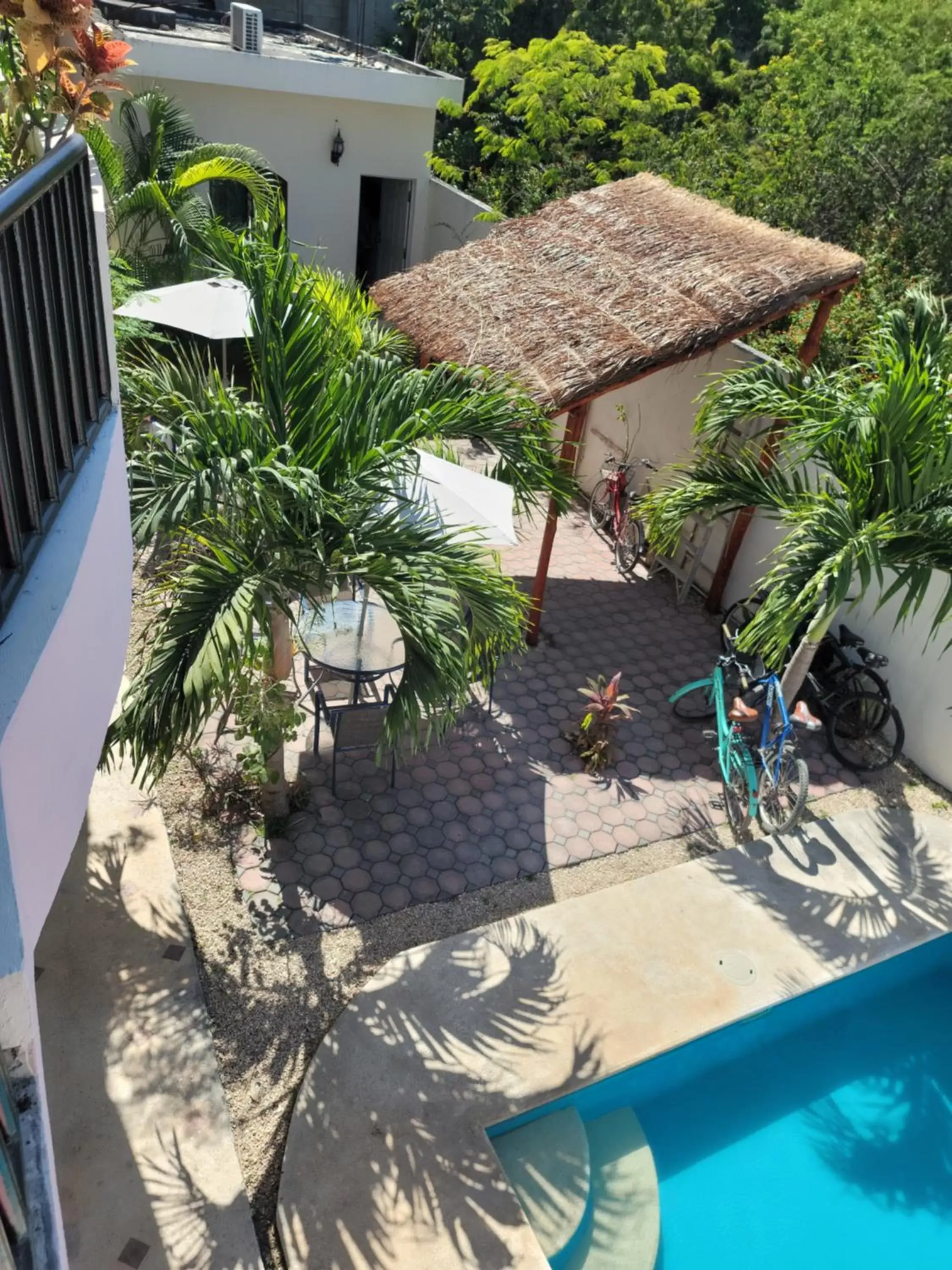 Patio, Swimming Pool in hotel stella maris tulum