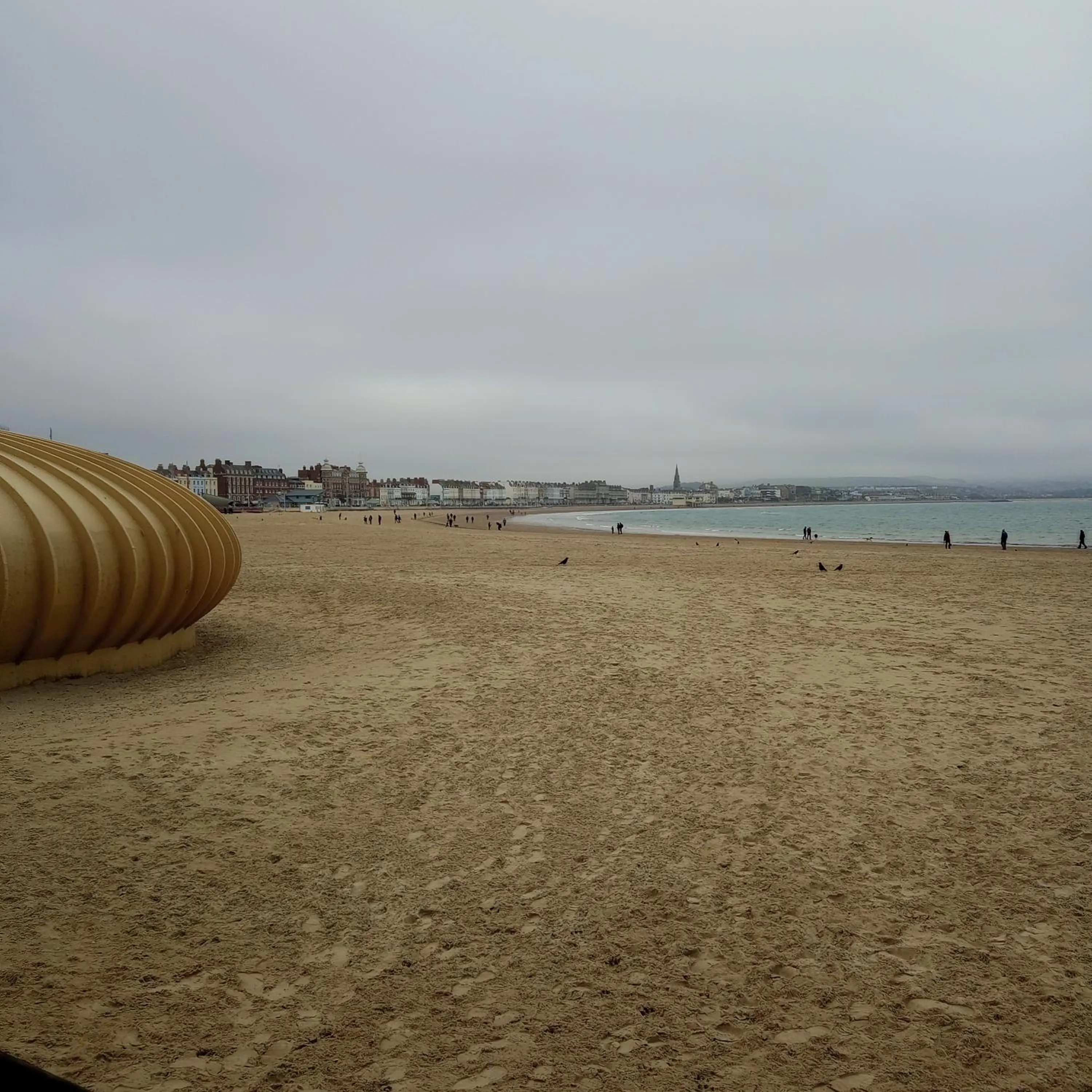 Natural landscape in The Wilton Weymouth