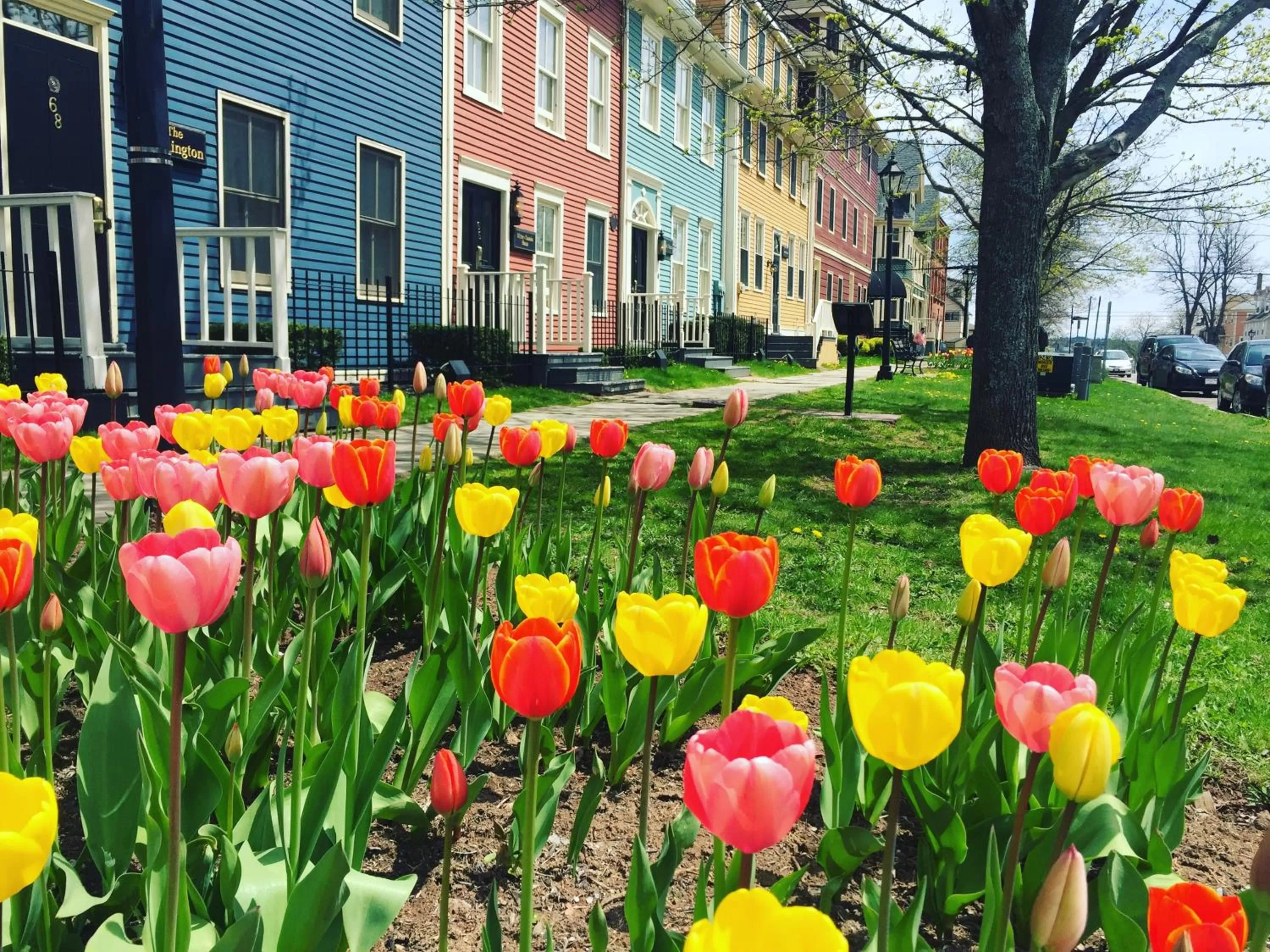 Property building in The Great George