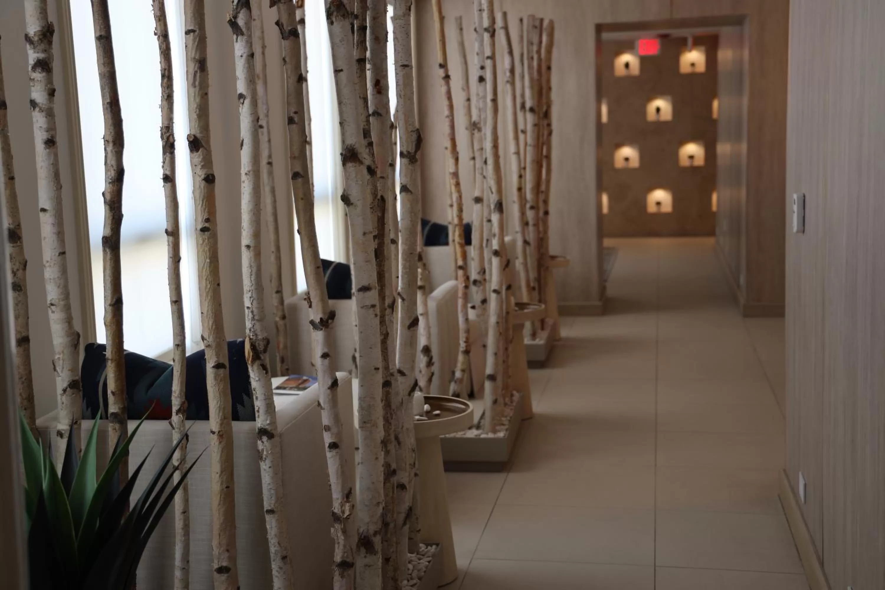 Spa and wellness centre/facilities in Hotel Paso Del Norte, Autograph Collection