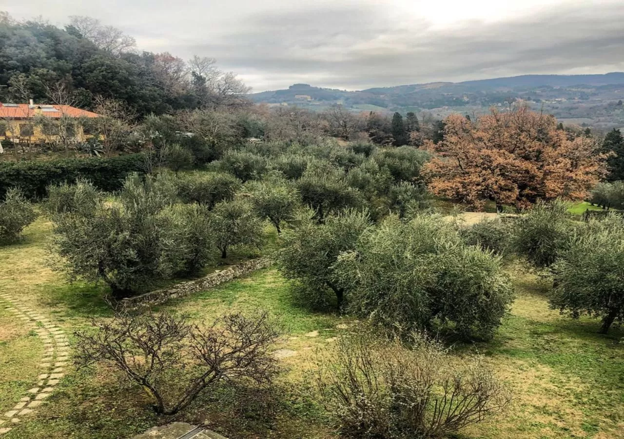 View (from property/room) in Independent loft on Florence's hills