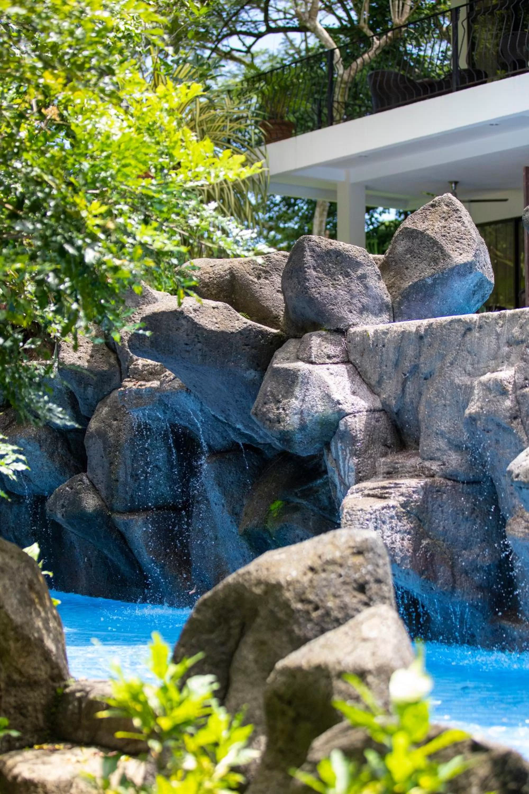 Natural landscape in Pumilio Mountain & Ocean Hotel