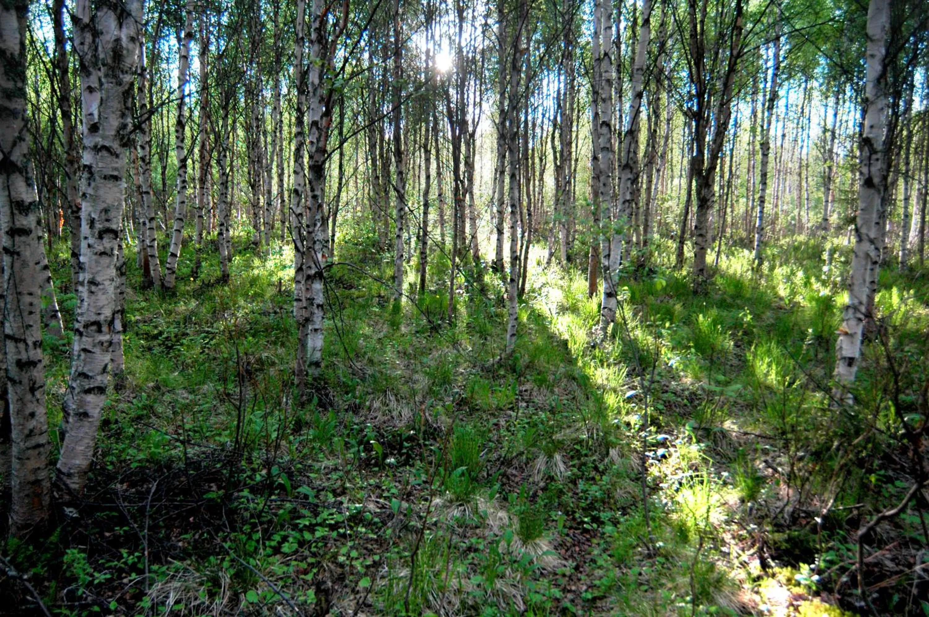 Off site in Arctic Light Hotel