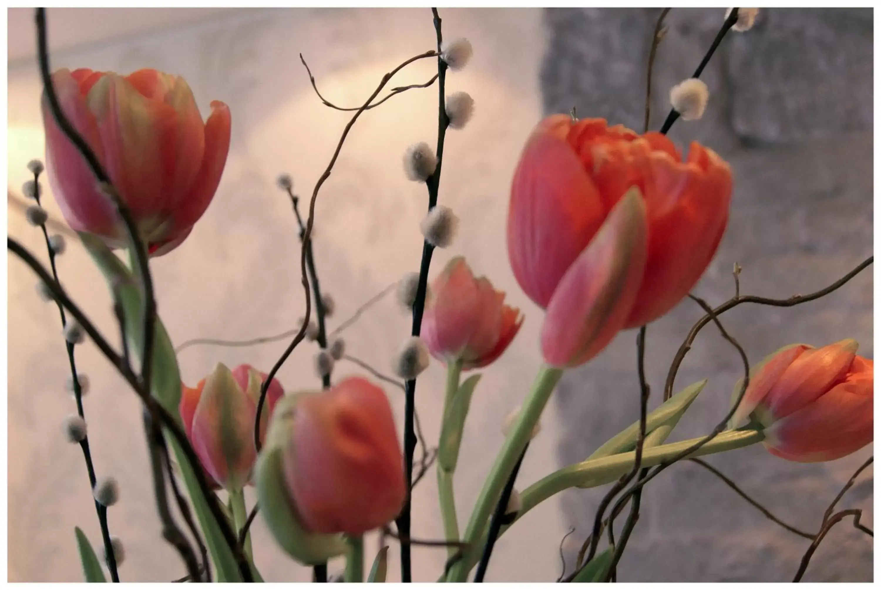 Spring, Garden in Hotel Platzhirsch