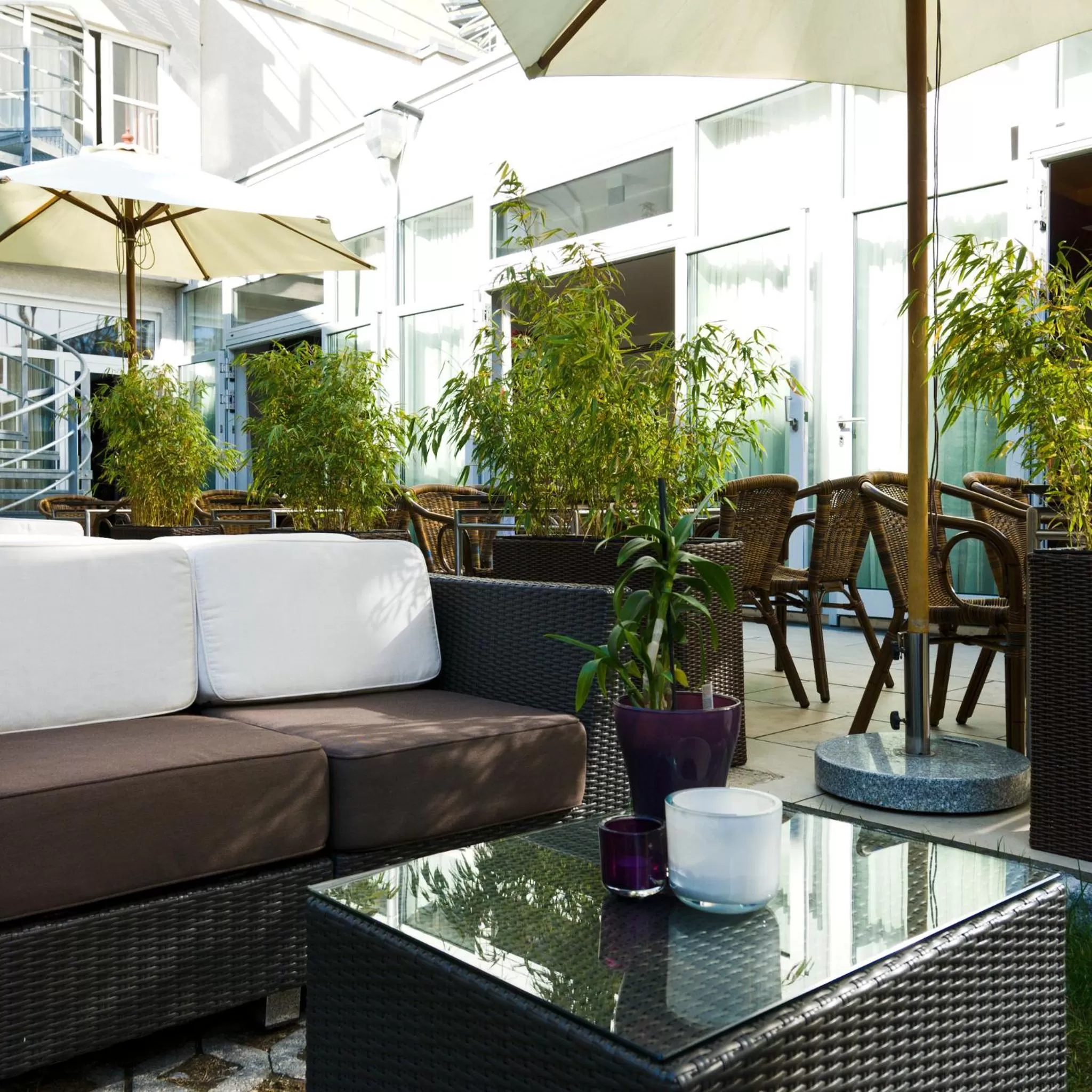 Garden in Hotel Europa