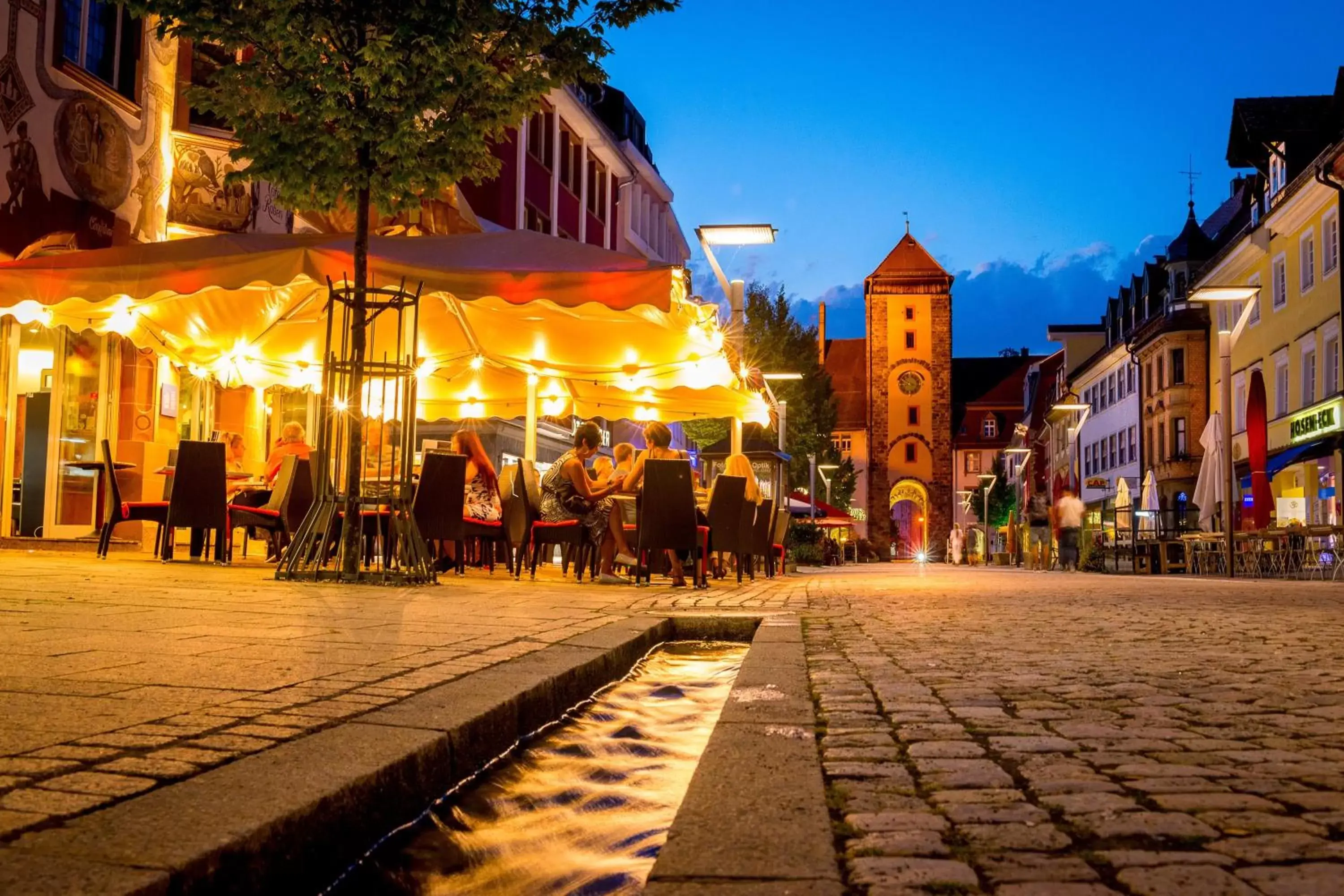 Area and facilities in Holiday Inn - Villingen - Schwenningen, an IHG Hotel