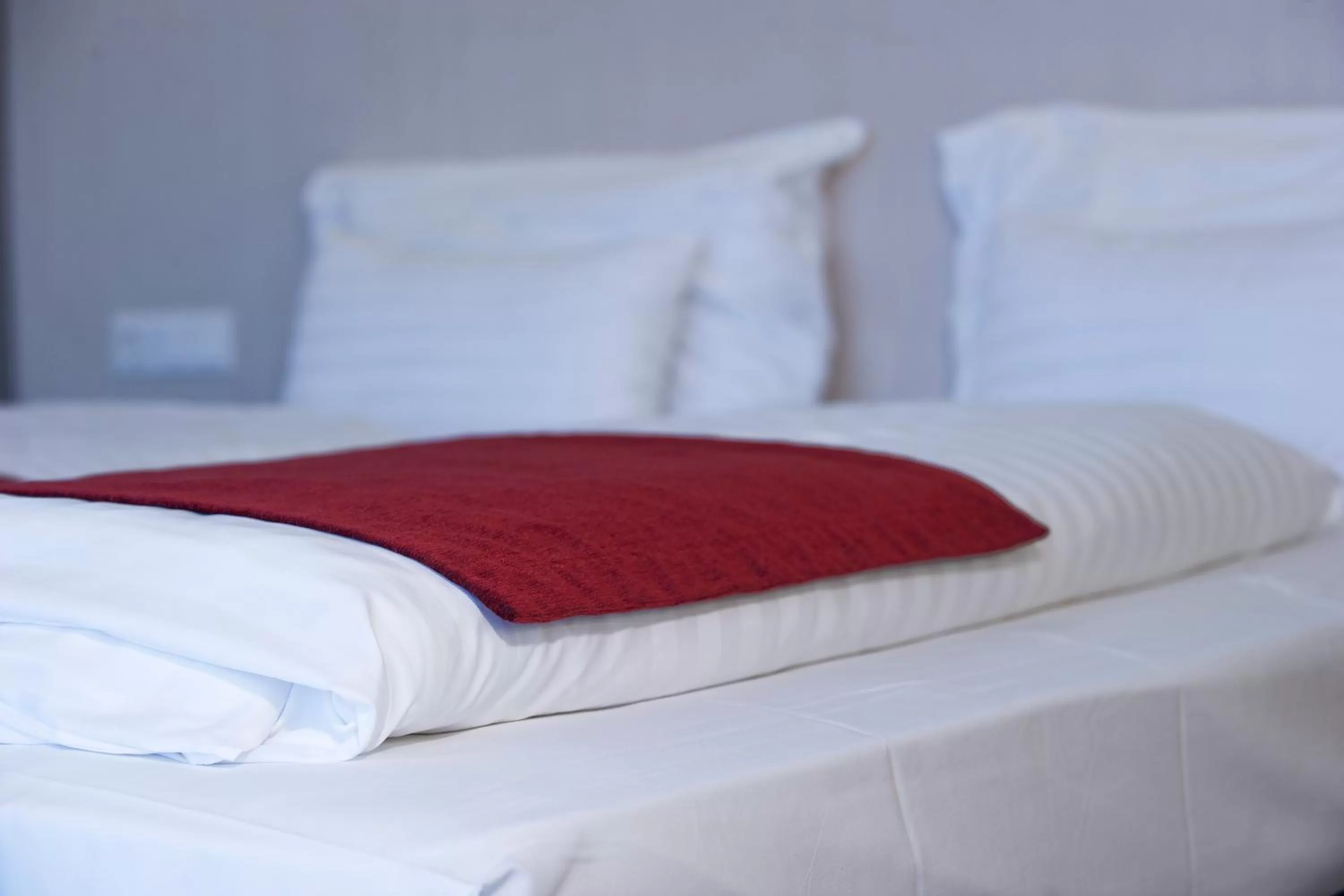 Bed in Pannonia Tower