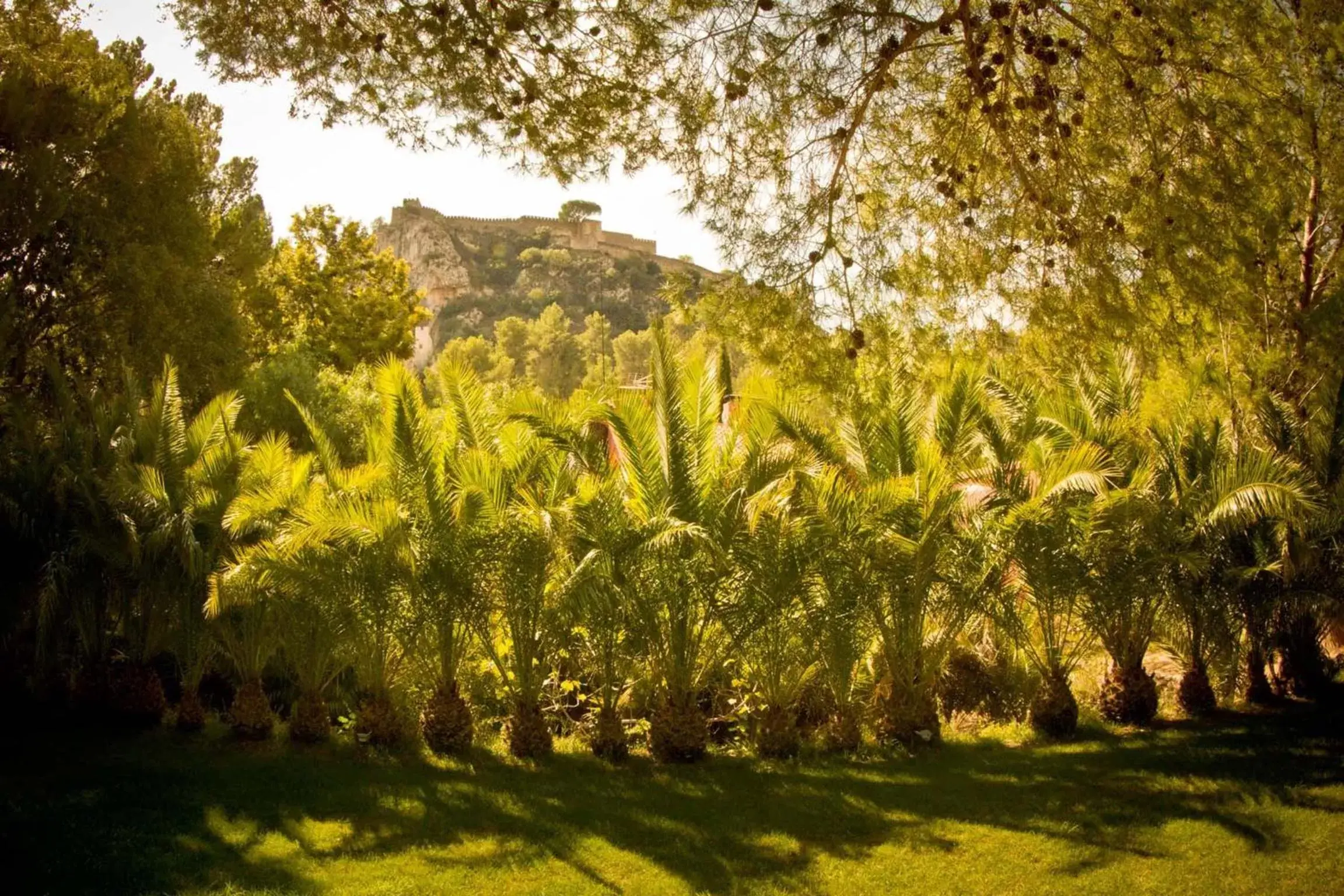 Banquet/Function facilities in Mont-Sant