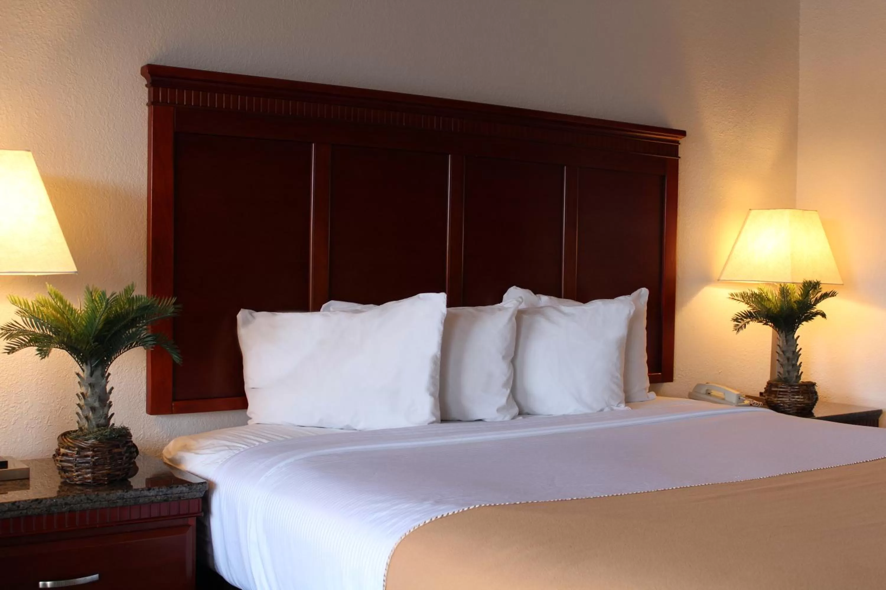 Bed in Rodeway Inn Santa Clara El Camino Real