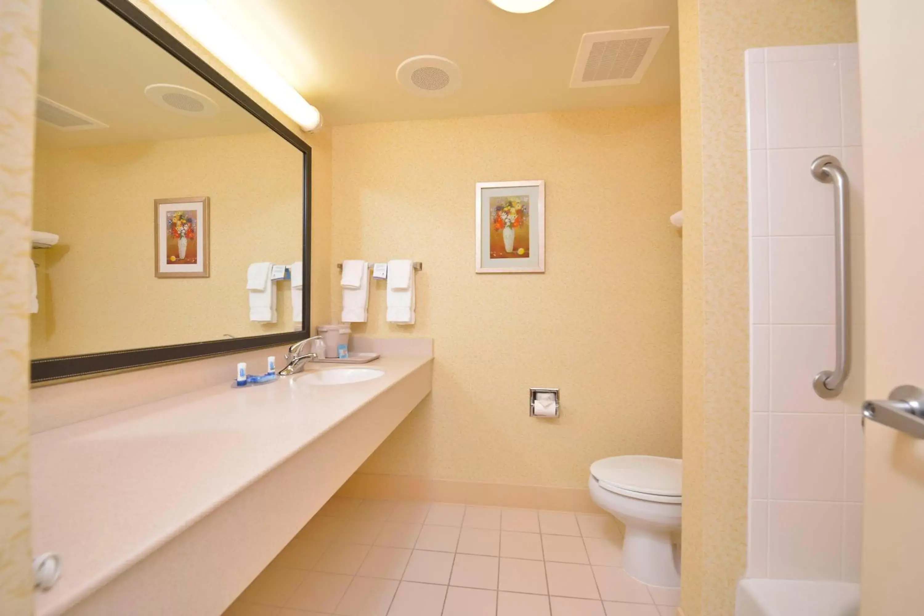 Bathroom in Fairfield Inn and Suites by Marriott Williamsport