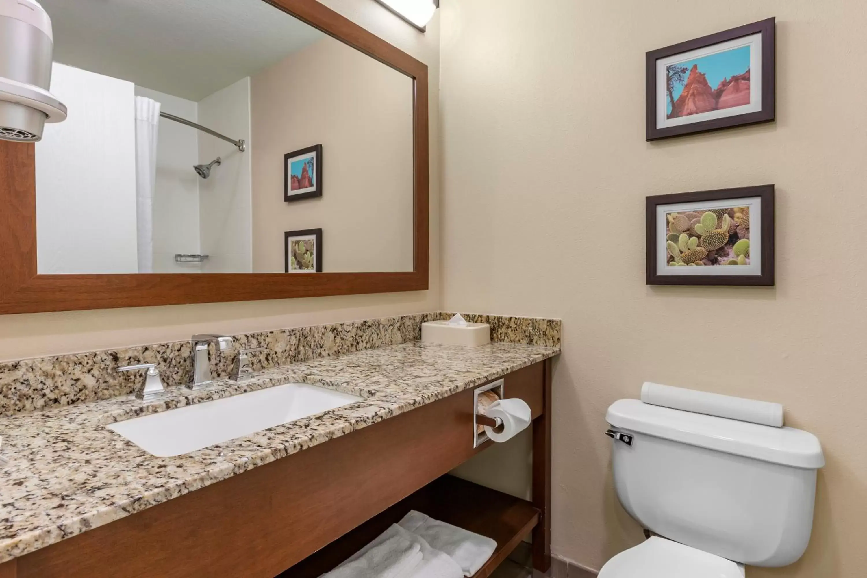 Bathroom in Comfort Inn & Suites Los Alamos