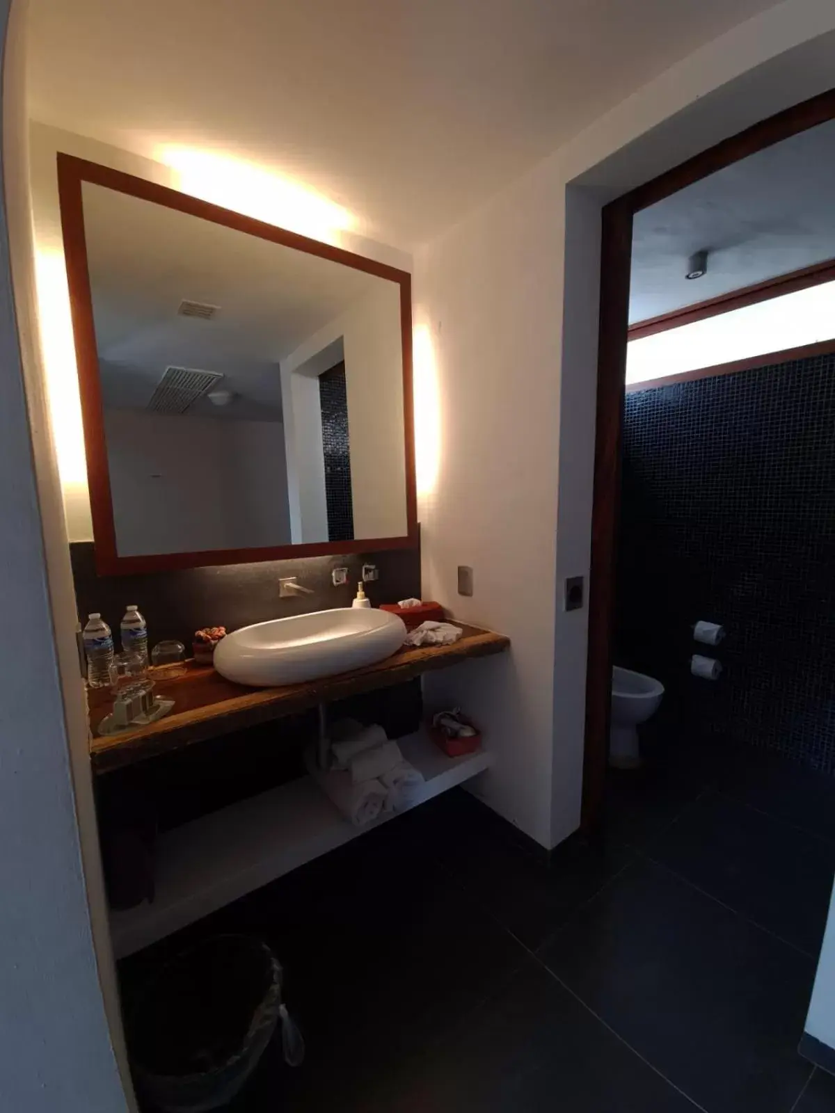 Toilet, Bathroom in Isla Tajín