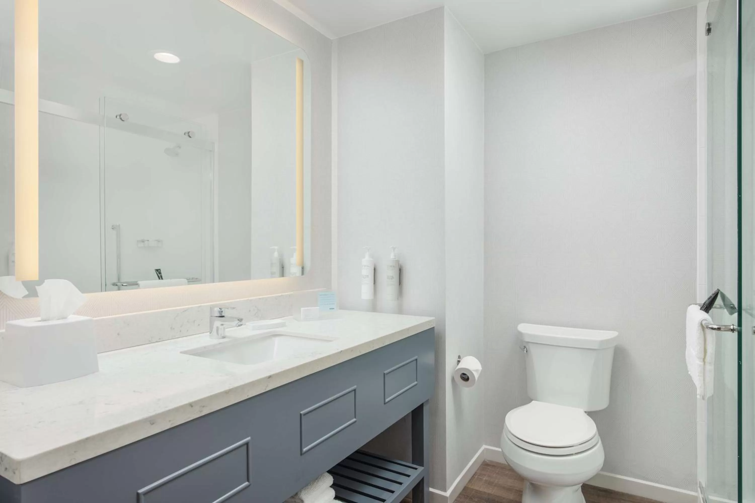 Bathroom in Hampton Inn & Suites Huntsville Downtown, Al