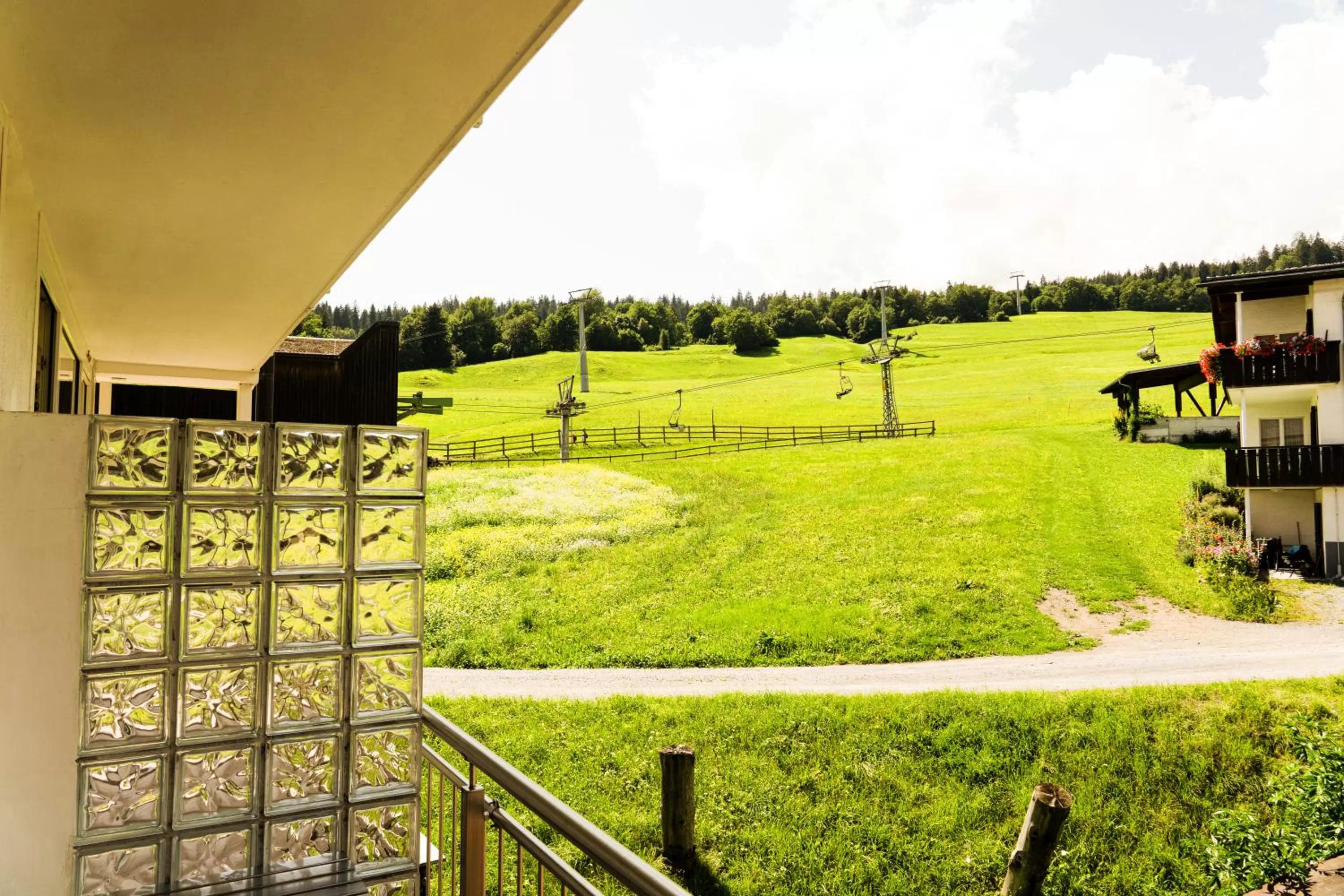 Garden view in Hostel Flims