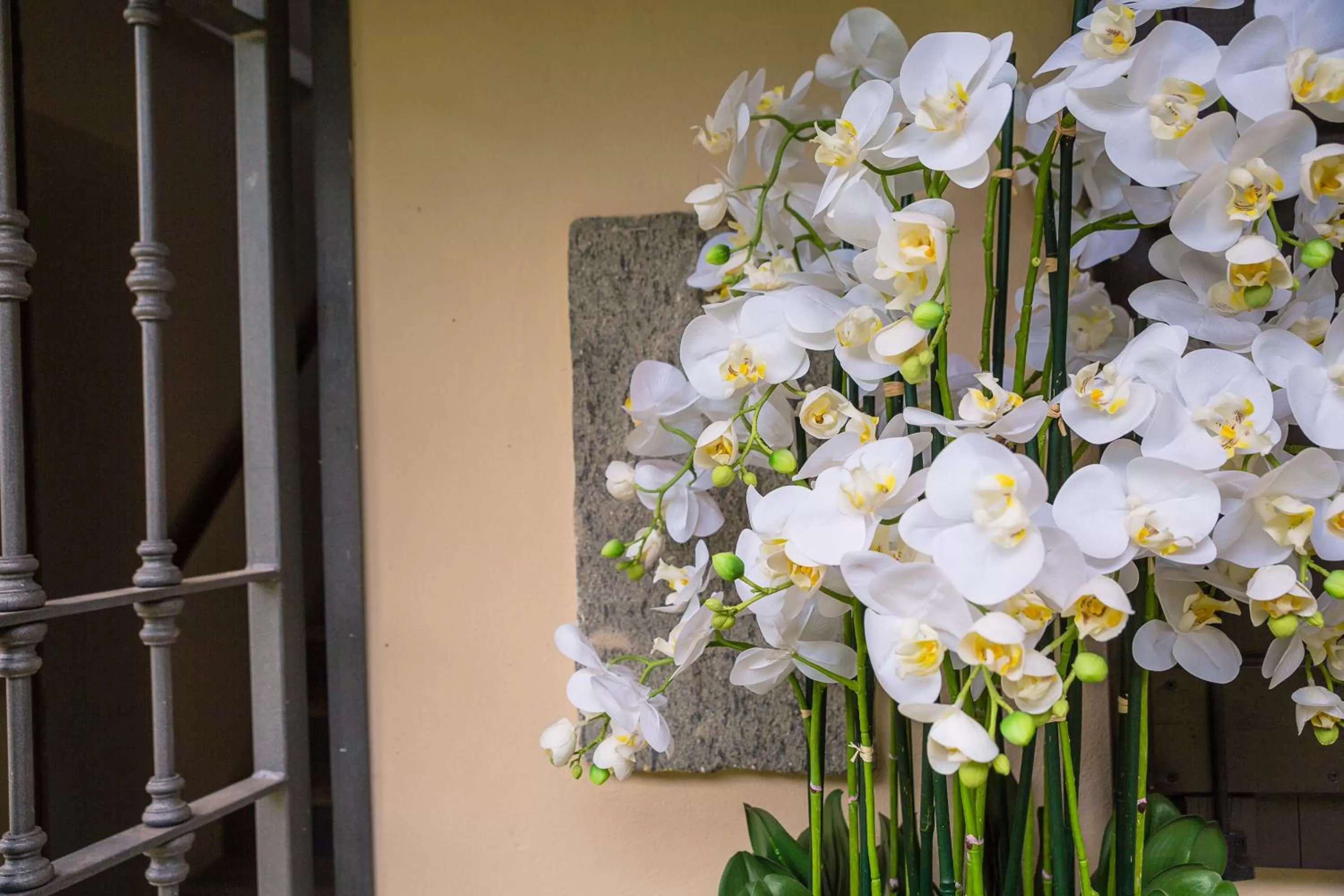 Property building in Il BASÍN