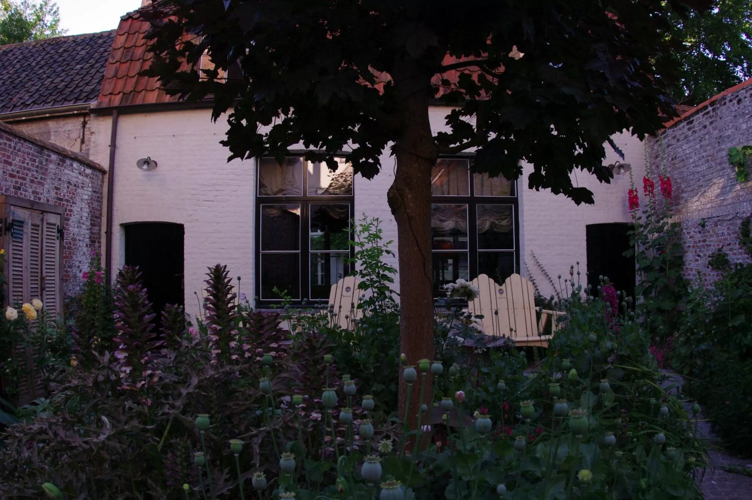Patio in B&B Canal Deluxe