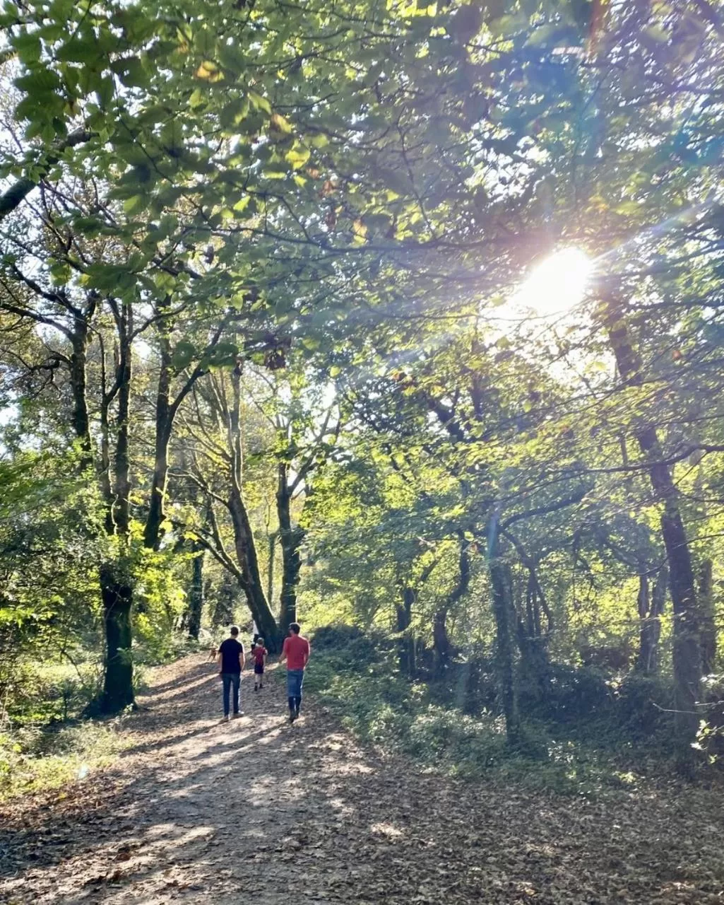 Other in The Kingswood