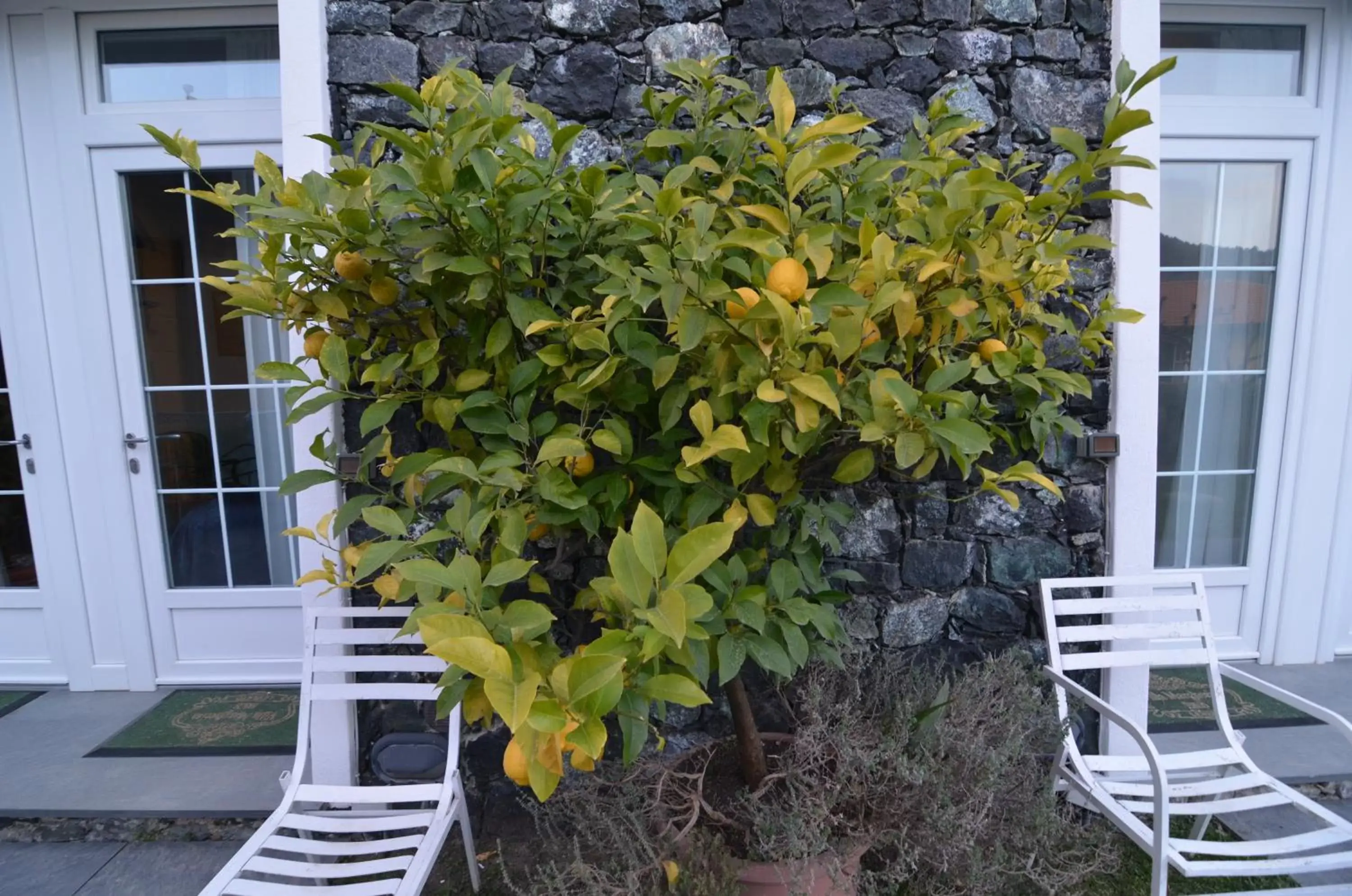 Garden in Villa Margherita