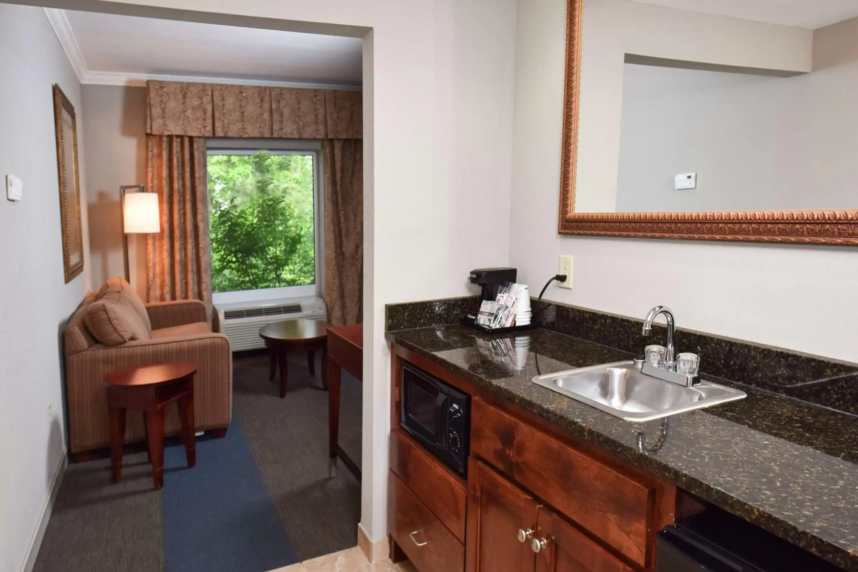 Other, Kitchen/Kitchenette in Hampton Inn Alexander City