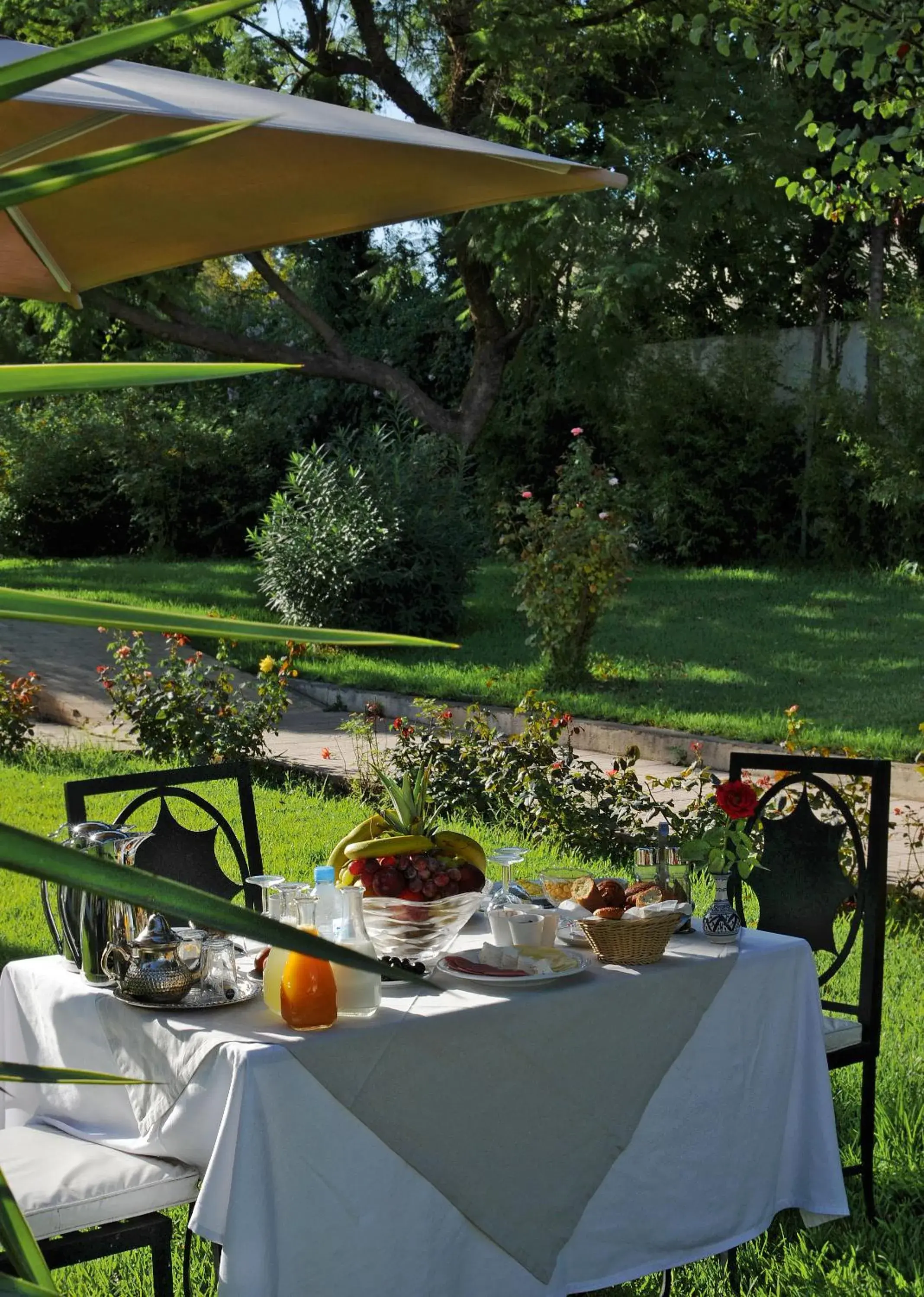 Garden in Hôtel Volubilis