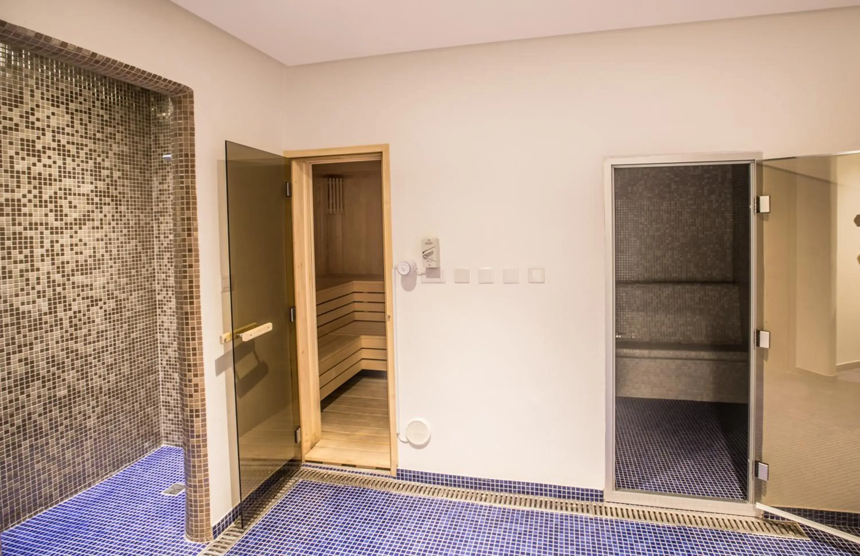 Sauna, Spa/Wellness in Vassos Nissi Plage Hotel & Spa