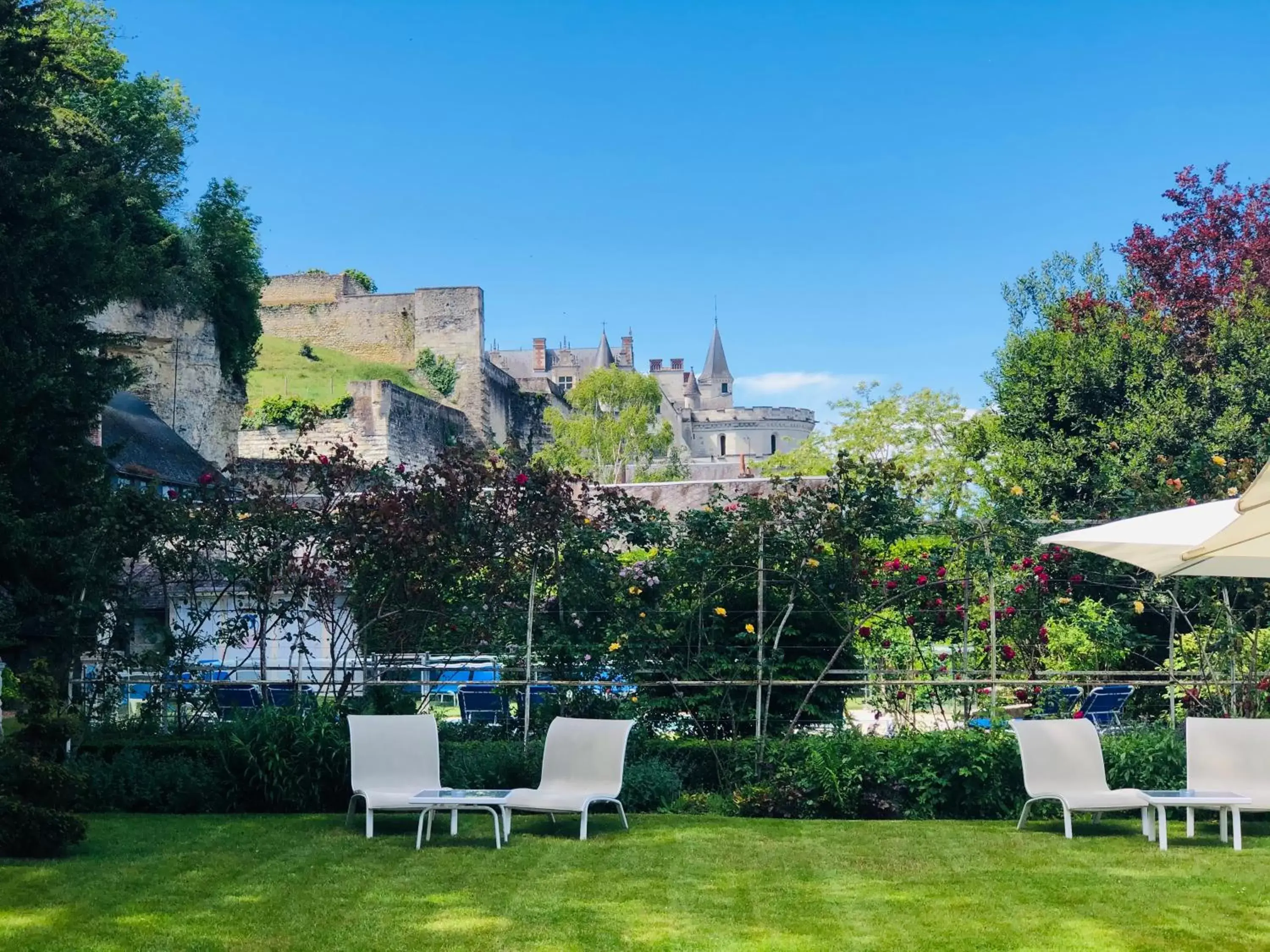 Garden in Hôtel Le Choiseul