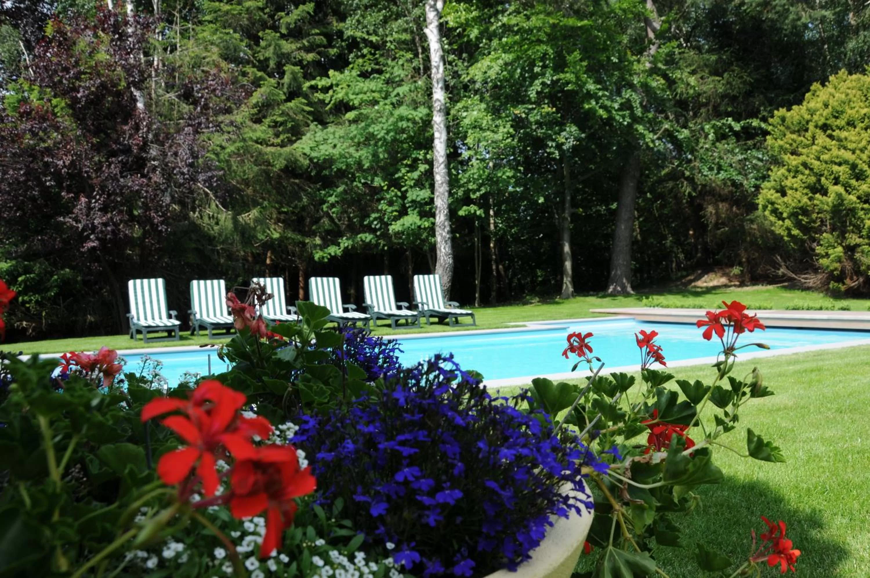 Swimming pool in Hotel Hotleu