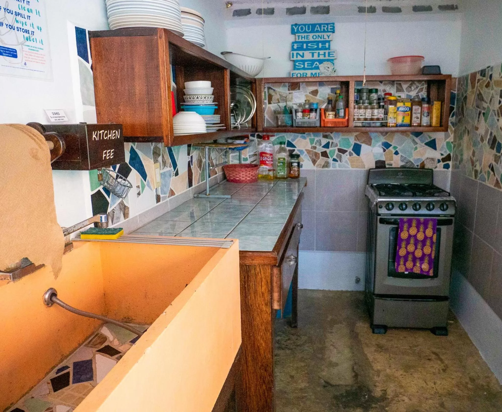 Communal kitchen in Drift Inn San Pedro