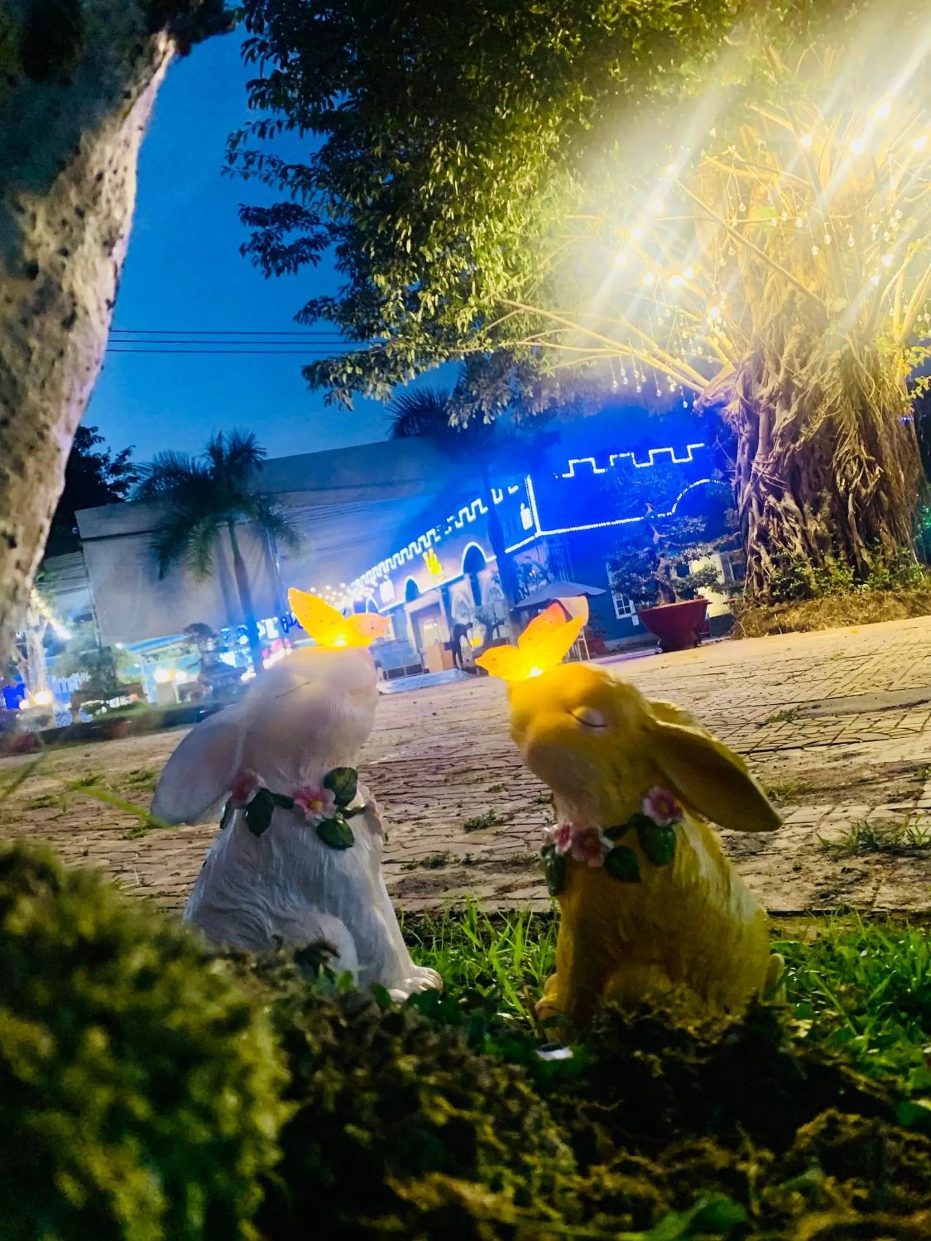 Natural landscape in D'Villa Hotel - Homestay