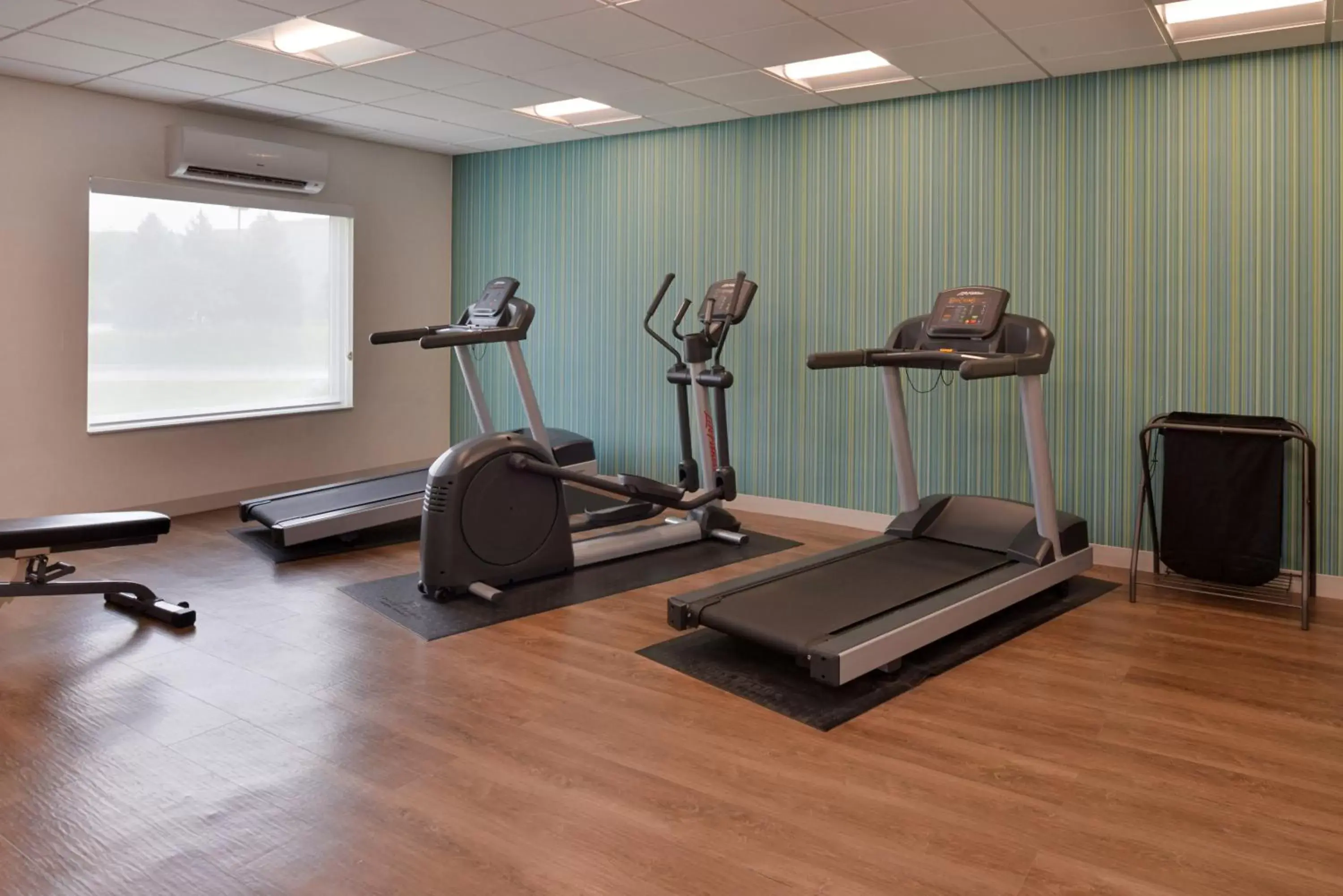 Fitness centre/facilities, Fitness Center/Facilities in Holiday Inn Express & Suites - Omaha - 120th and Maple, an IHG Hotel