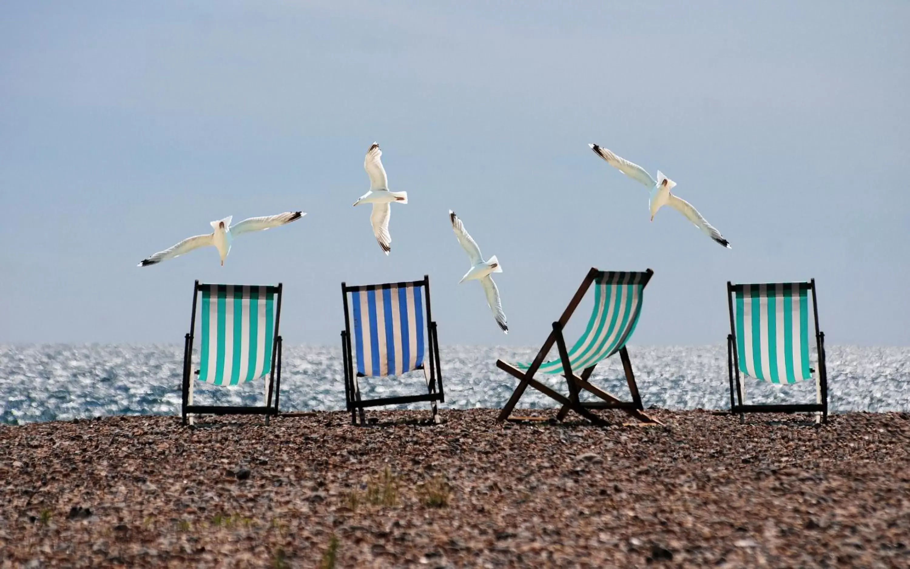 Beach in The Greenwich Rooms - Burger & Bird Bar & Restaurant