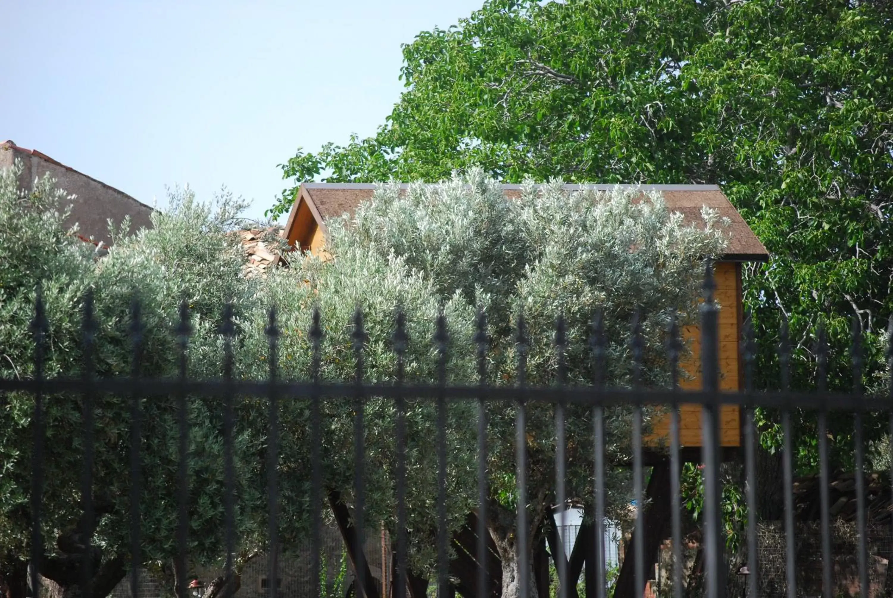 Property Building in Palazzo Conforti Tree House Resort