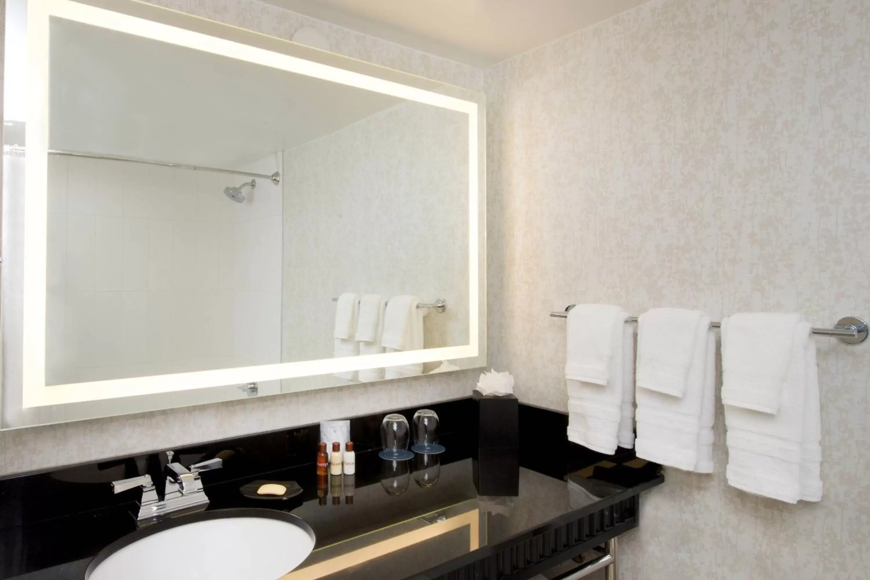 Bathroom in Sheraton Miami Airport Hotel and Executive Meeting Center